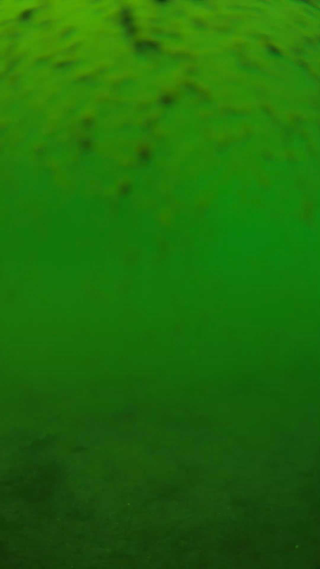 lander_ipcam_20240627130538.png