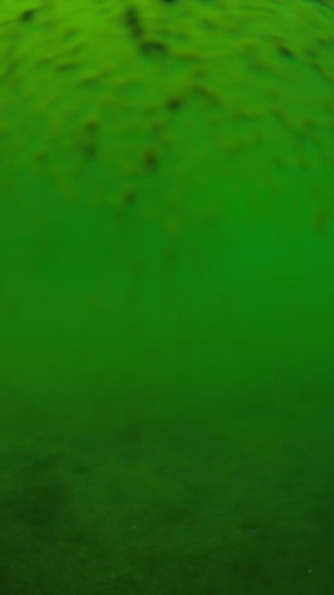 lander_ipcam_20240627130540.png