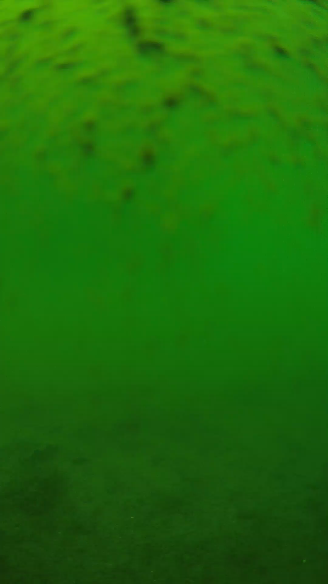 lander_ipcam_20240627130541.png