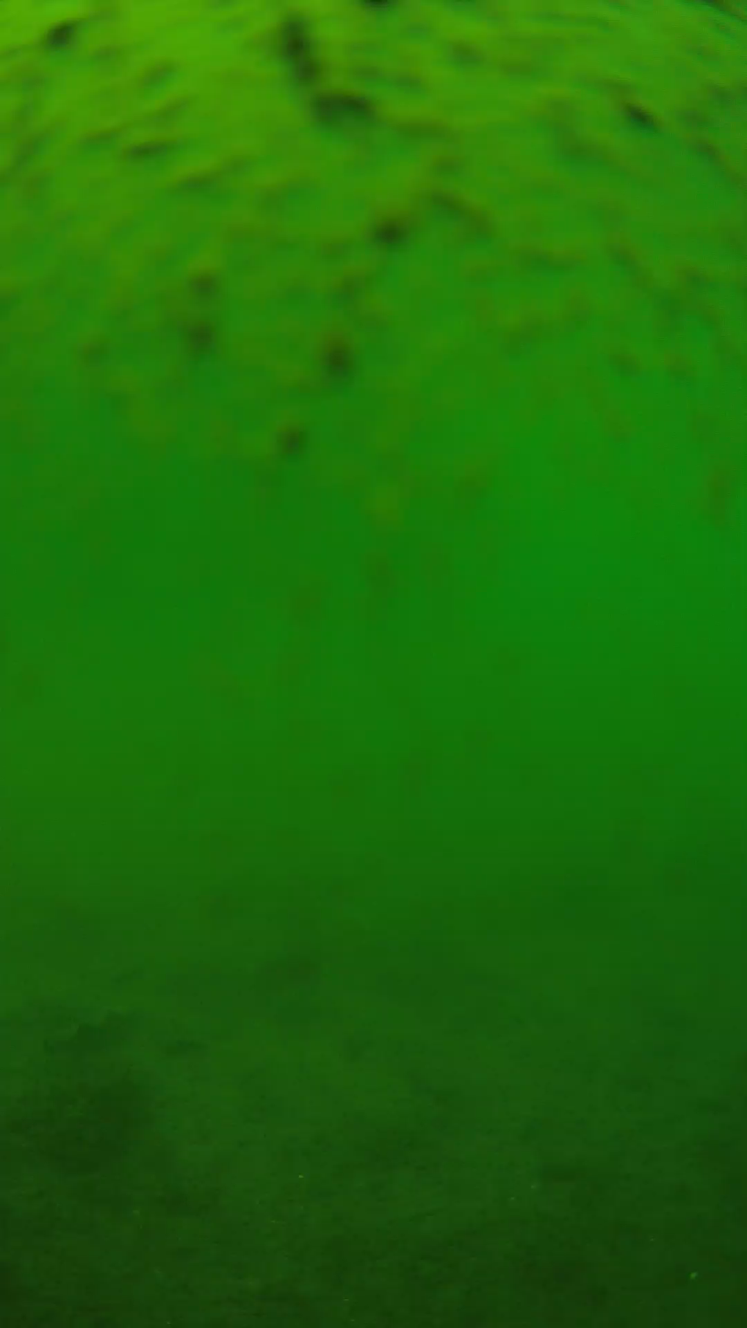 lander_ipcam_20240627130546.png