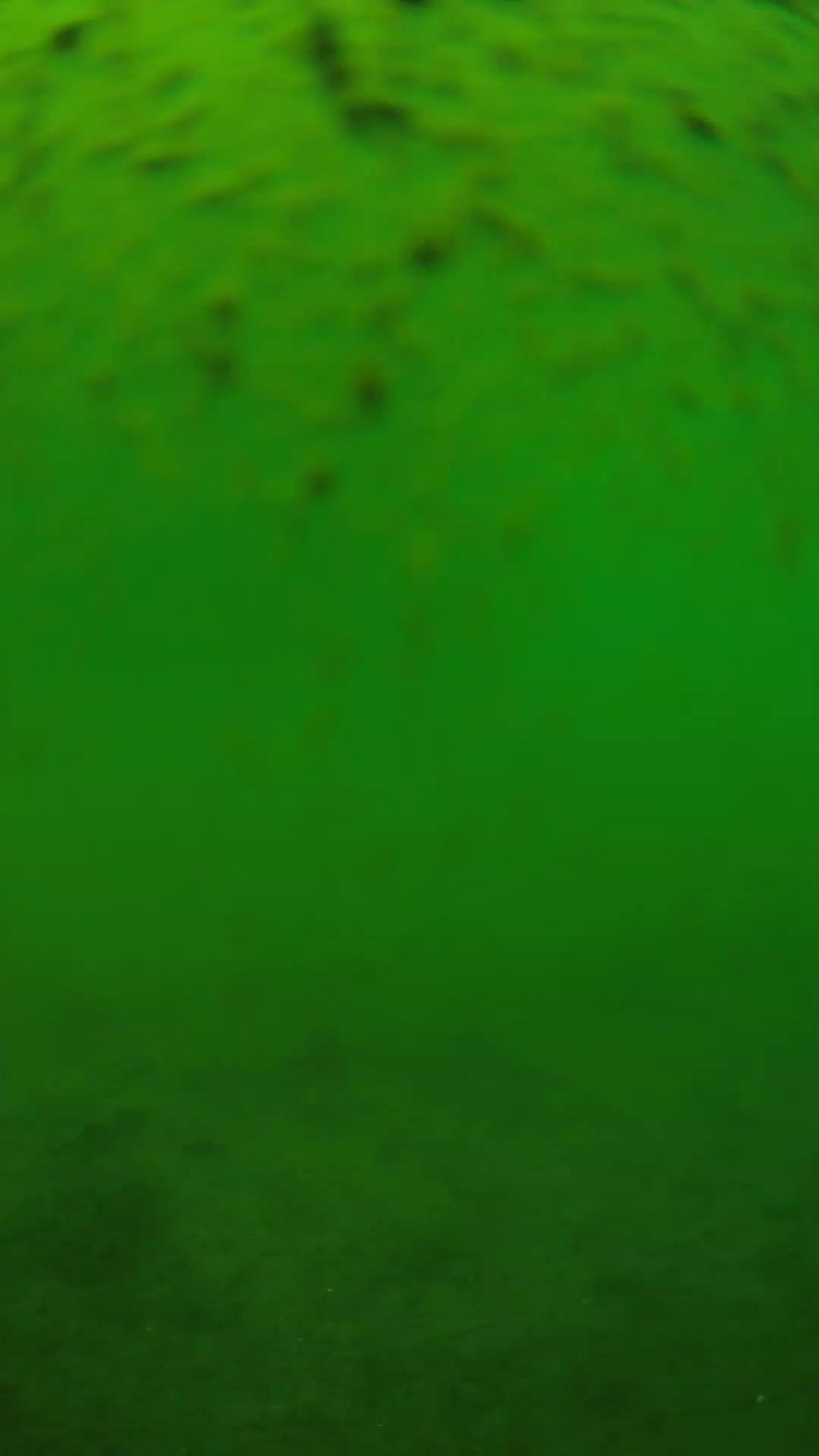 lander_ipcam_20240627130547.png