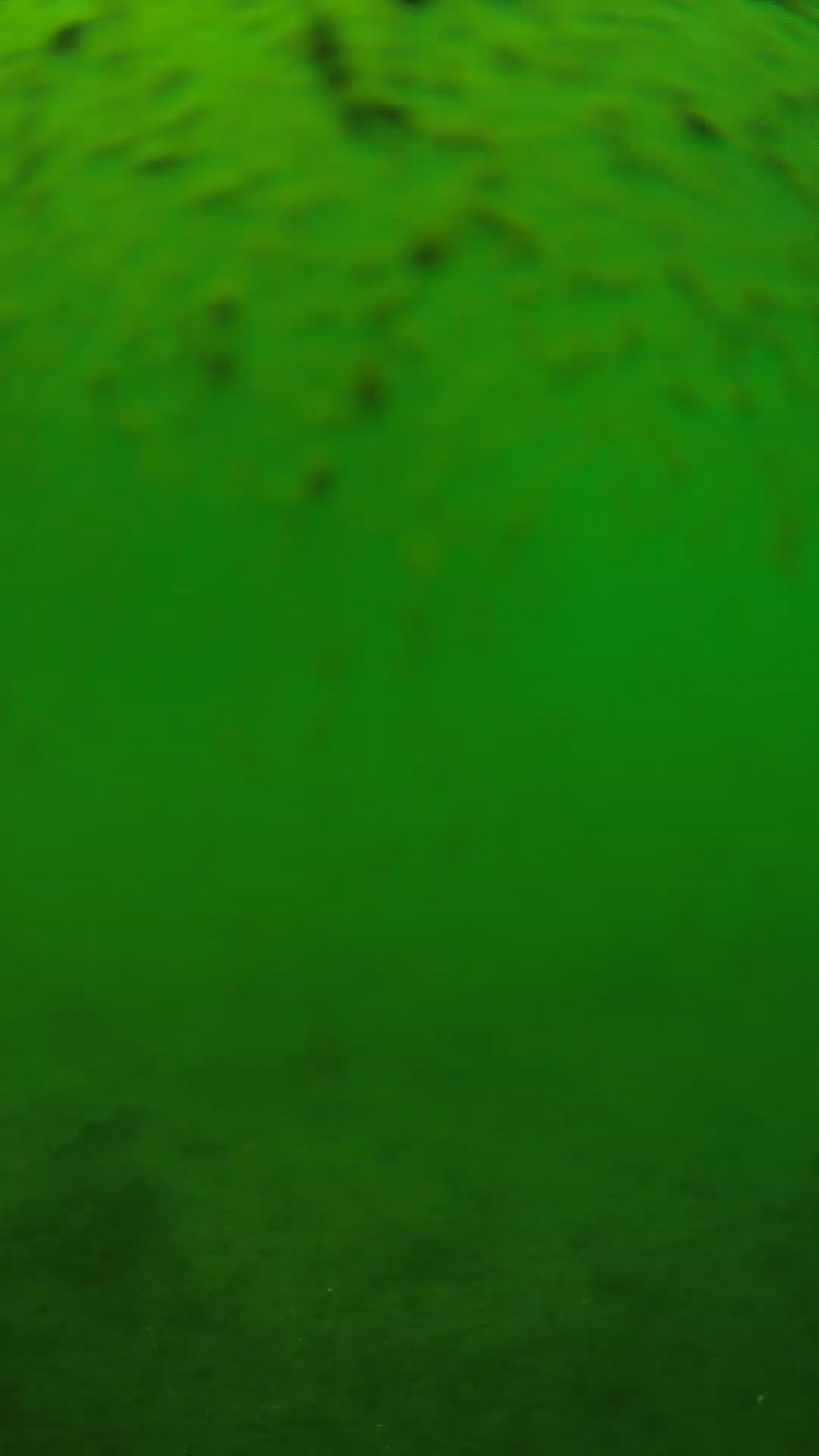 lander_ipcam_20240627130550.png