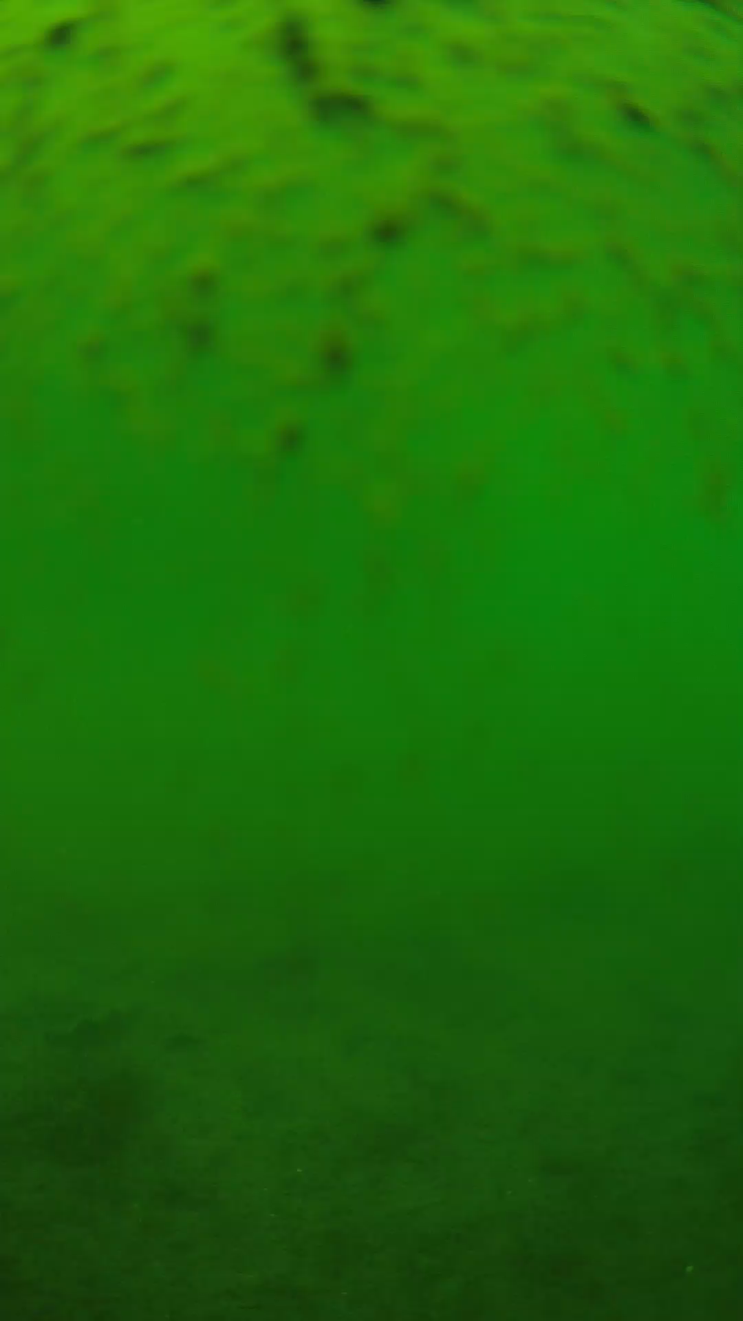 lander_ipcam_20240627130551.png