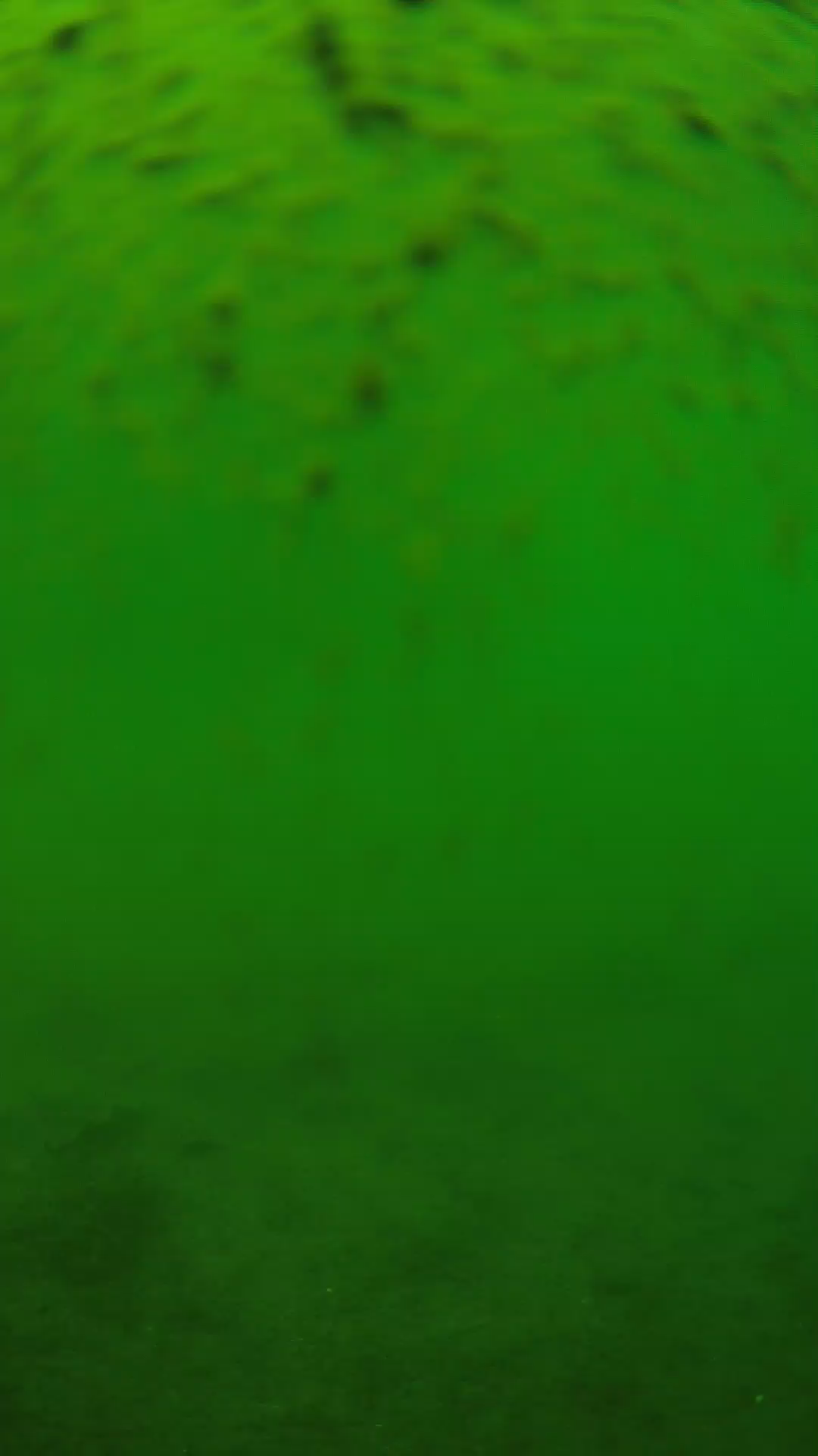 lander_ipcam_20240627130556.png