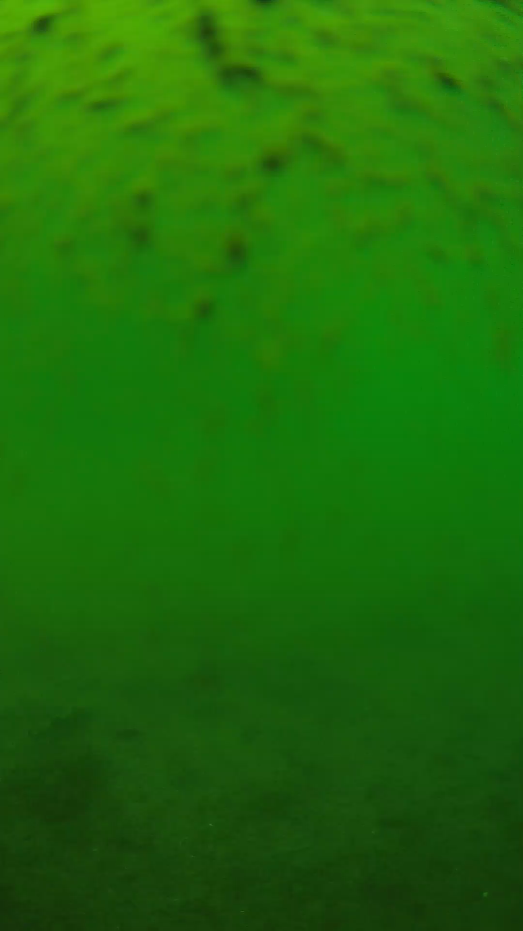 lander_ipcam_20240627130606.png