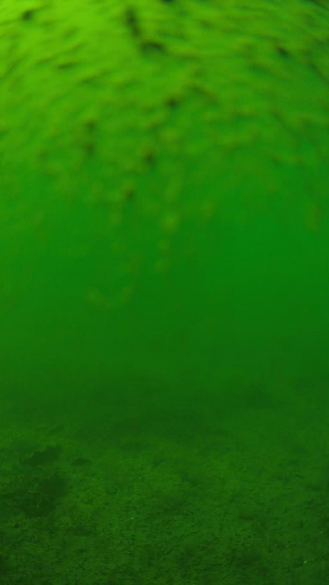 lander_ipcam_20240627143540.png
