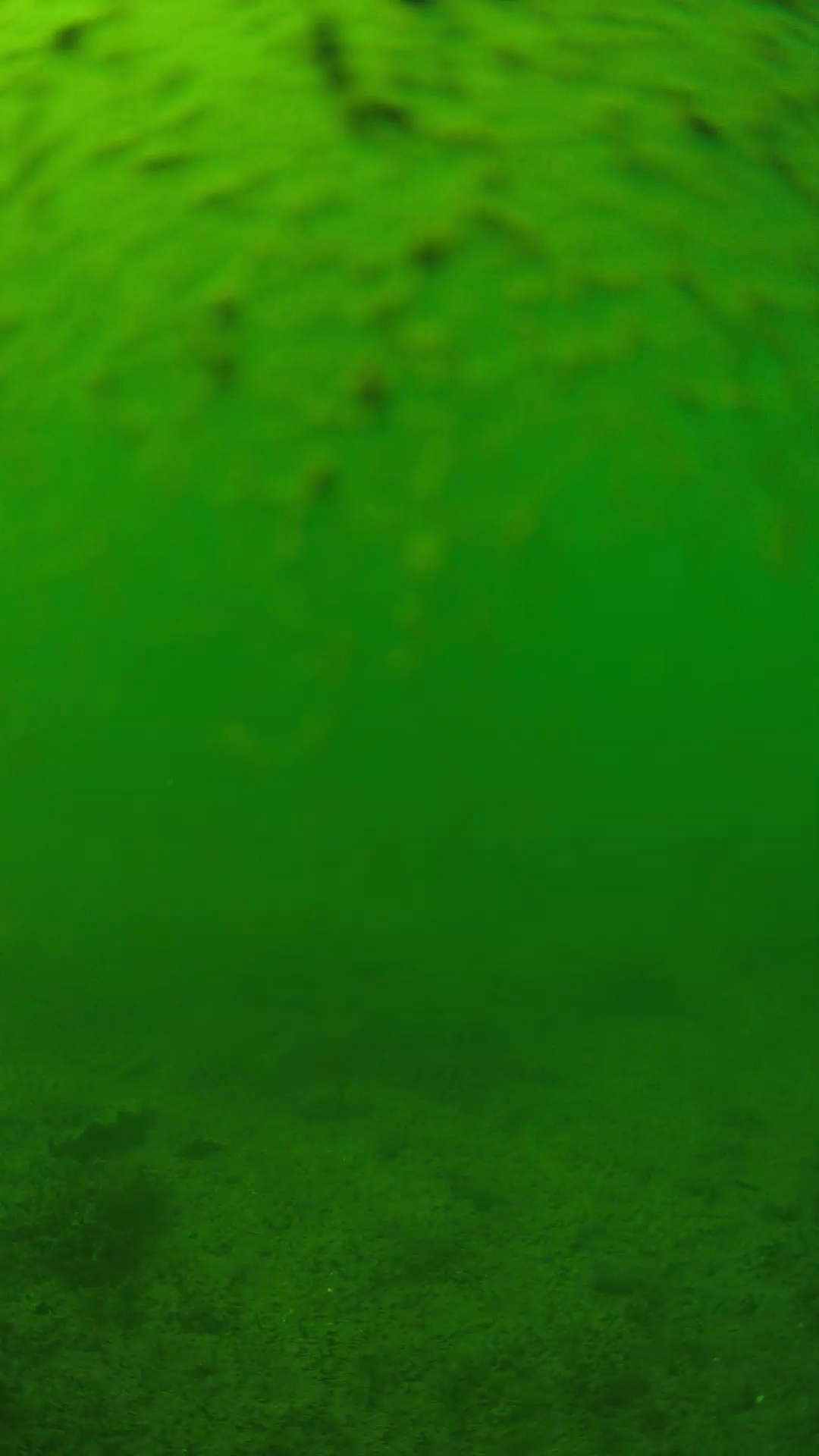 lander_ipcam_20240627143549.png