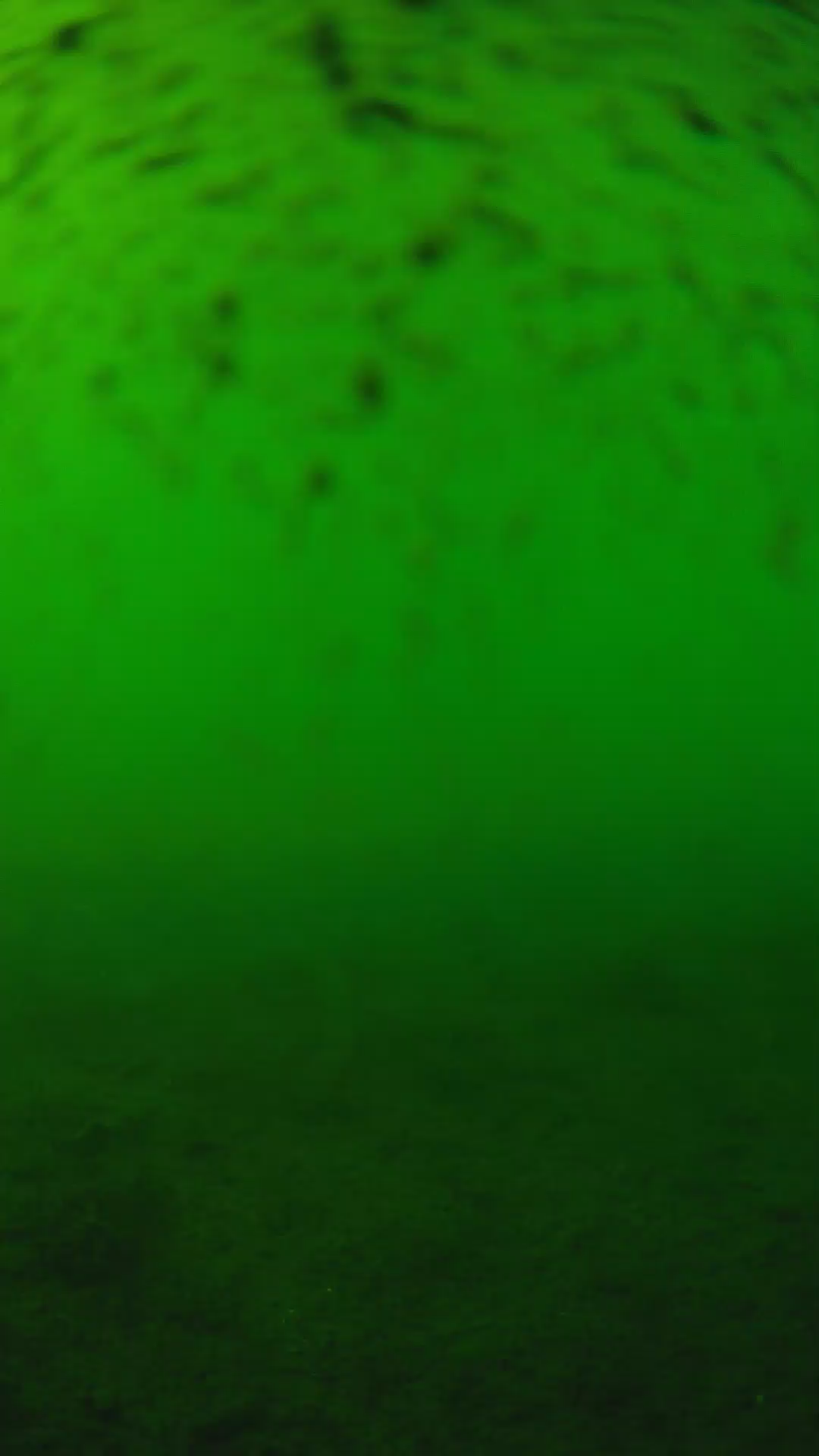 lander_ipcam_20240627163543.png