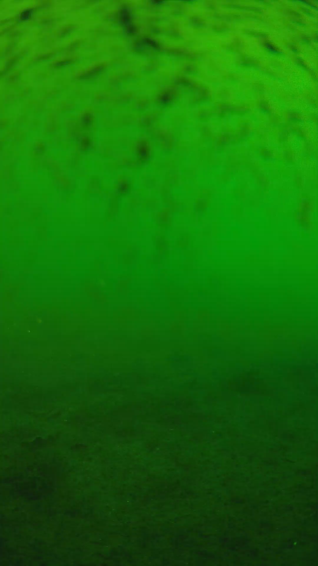 lander_ipcam_20240627180544.png