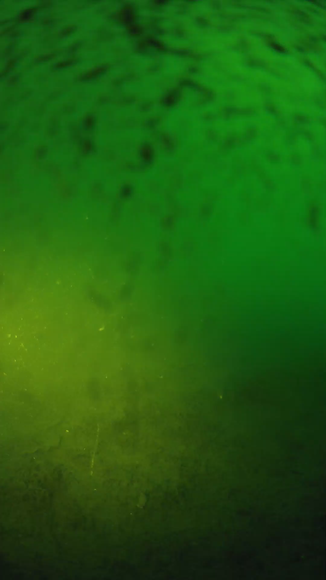 lander_ipcam_20240627200540.png