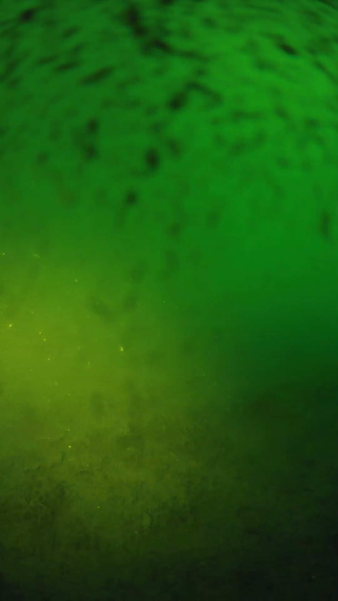 lander_ipcam_20240627200550.png