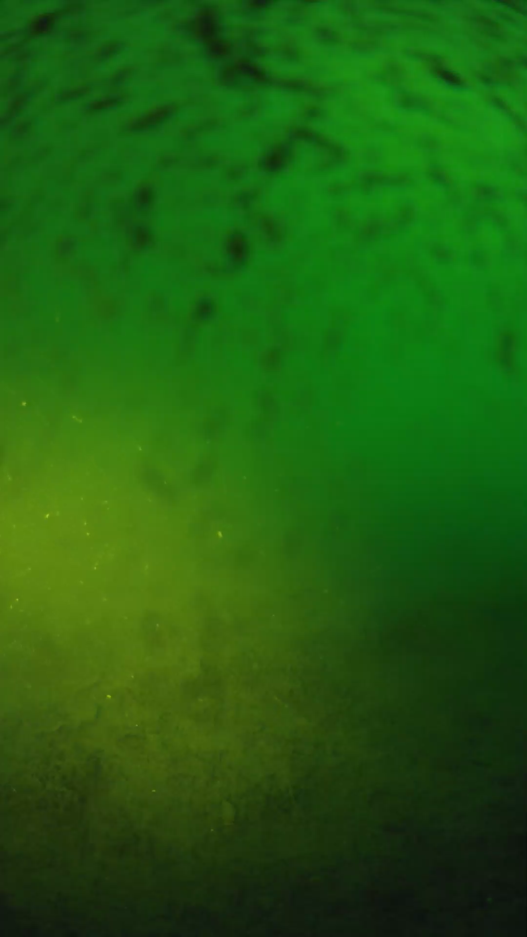 lander_ipcam_20240627200551.png