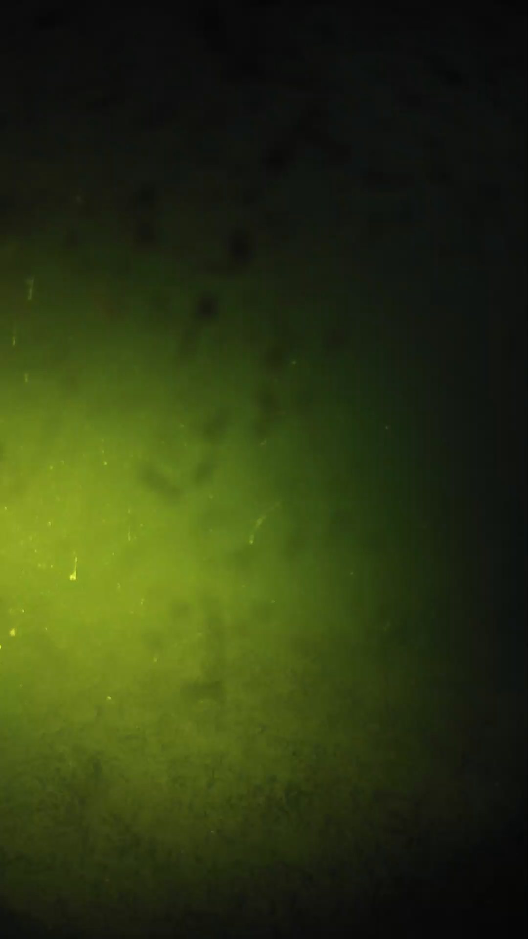 lander_ipcam_20240627203538.png