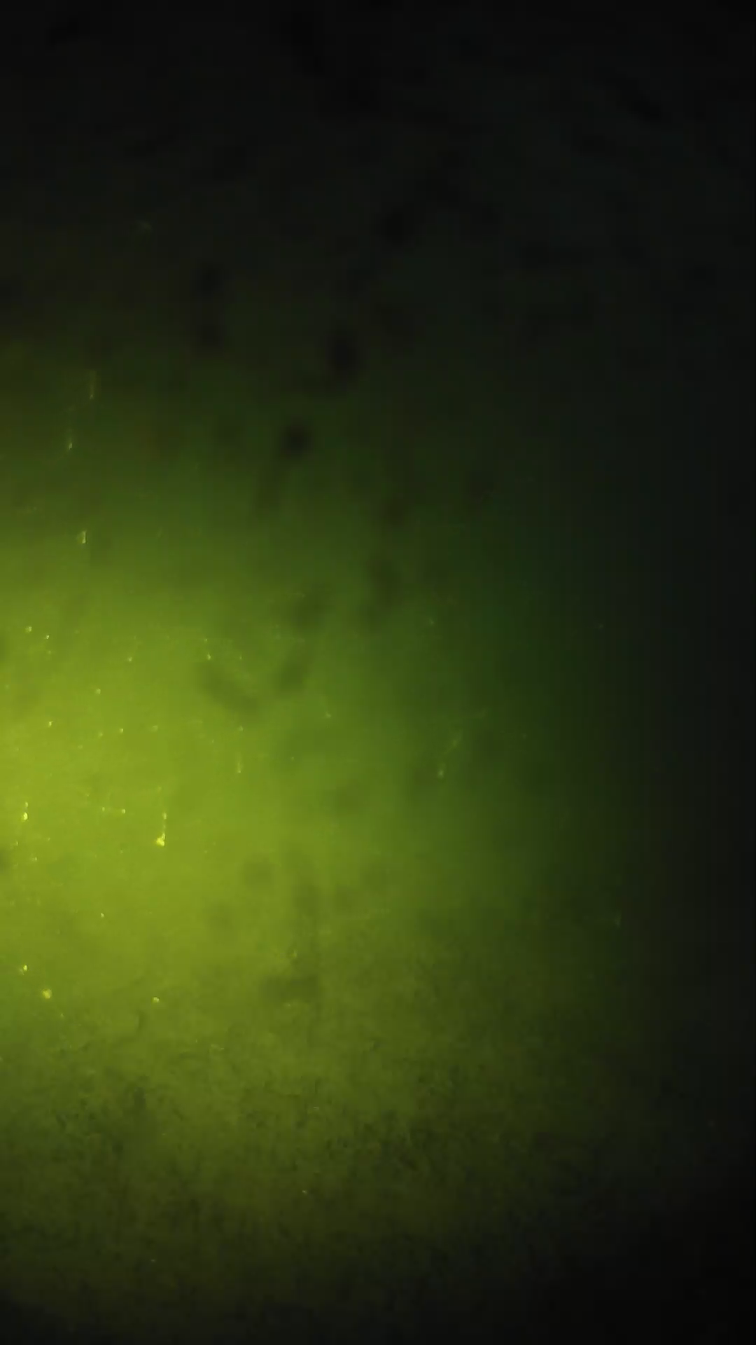 lander_ipcam_20240627203540.png