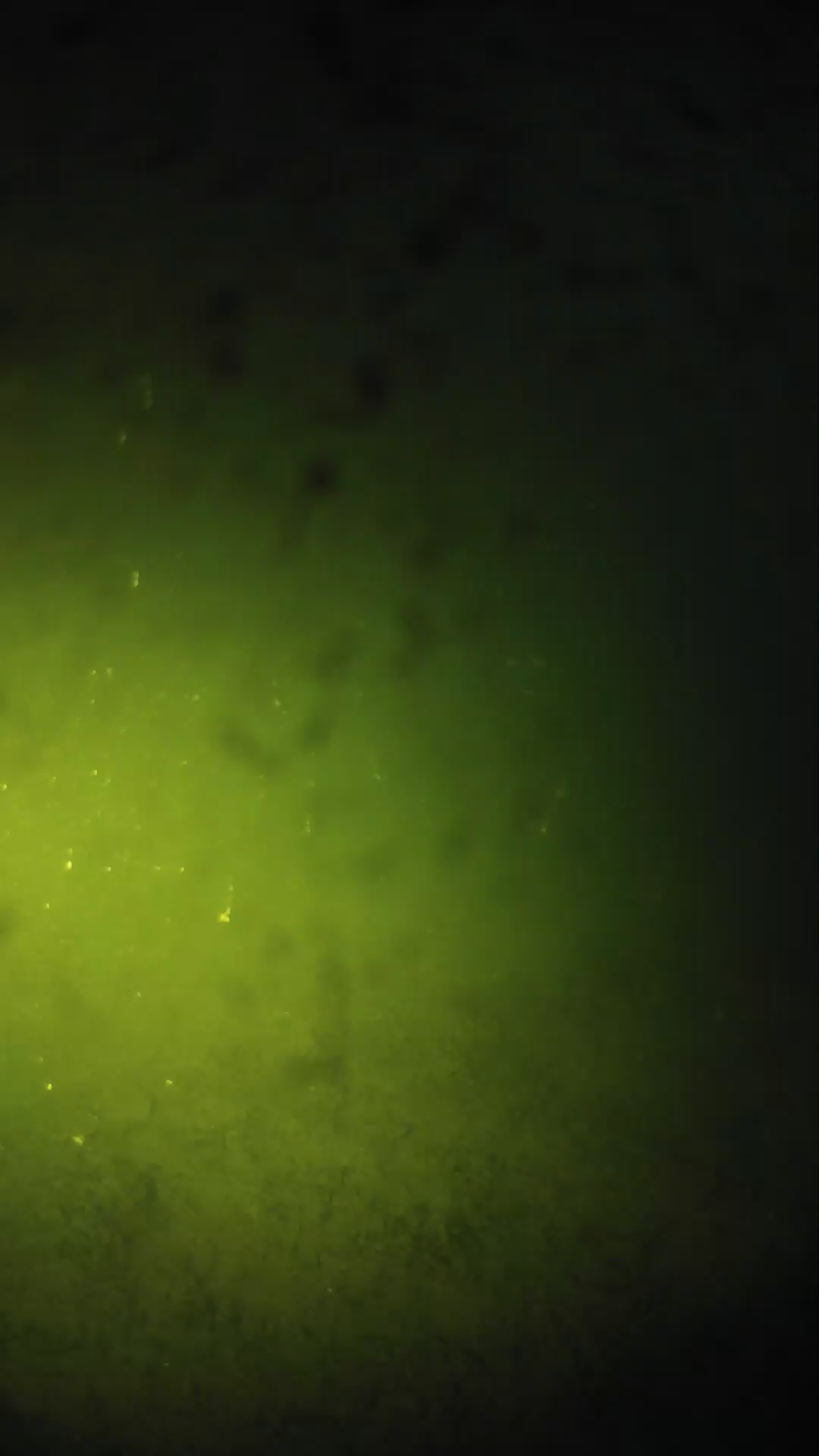 lander_ipcam_20240627203541.png