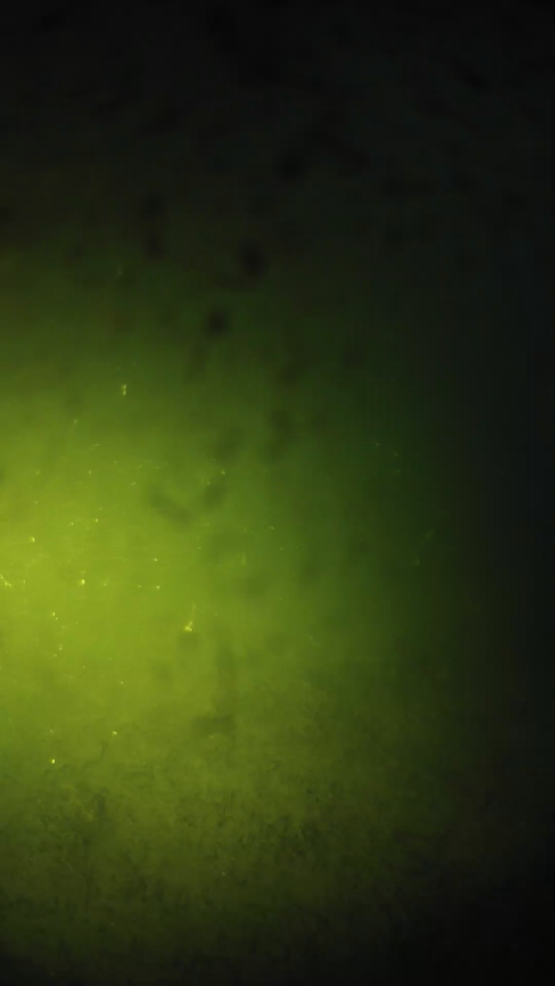 lander_ipcam_20240627203543.png