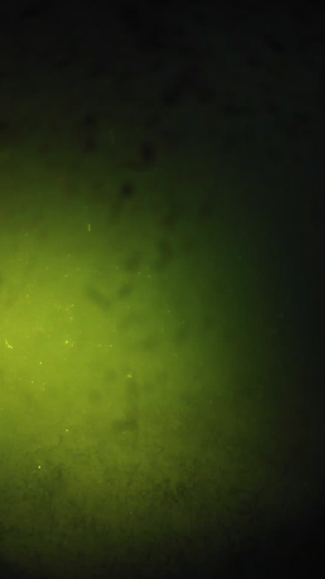 lander_ipcam_20240627203544.png