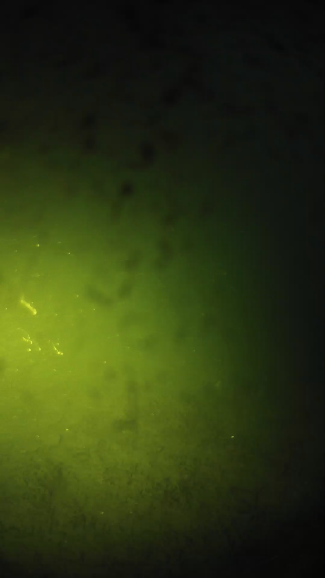 lander_ipcam_20240627203548.png