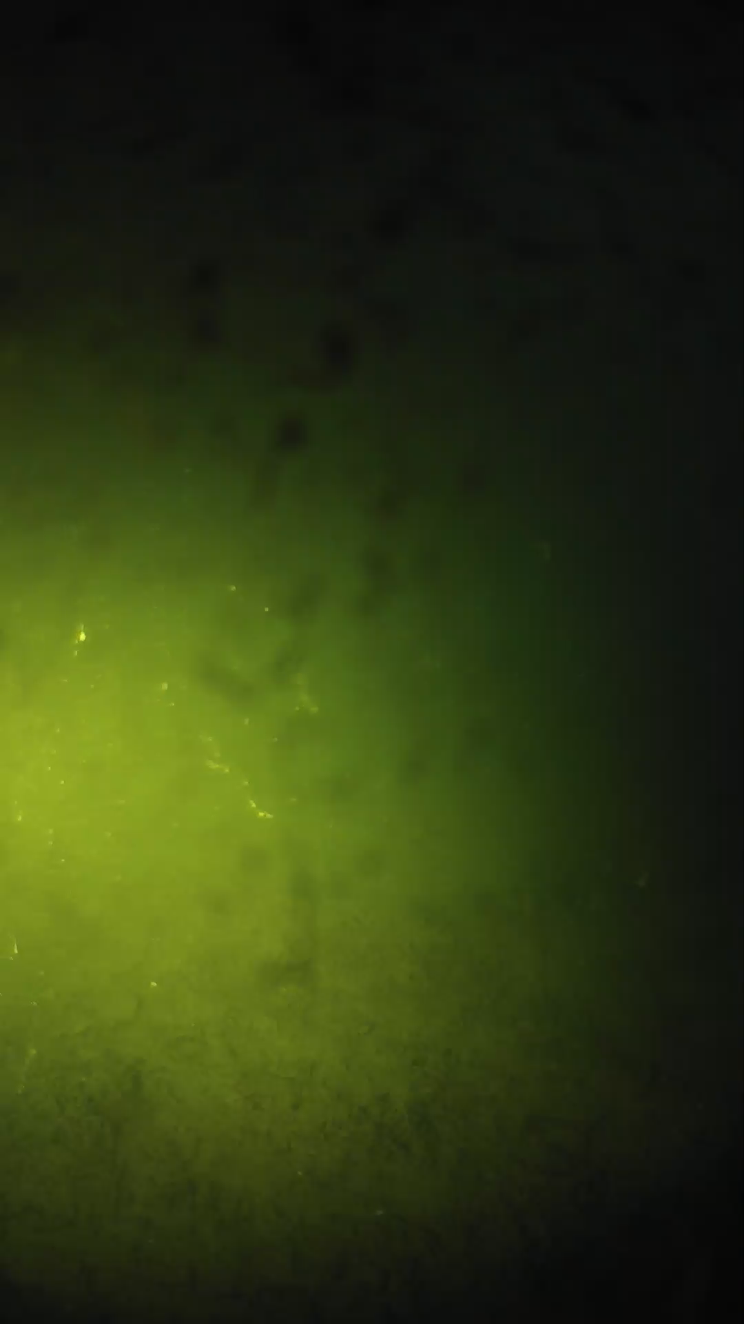 lander_ipcam_20240627203552.png