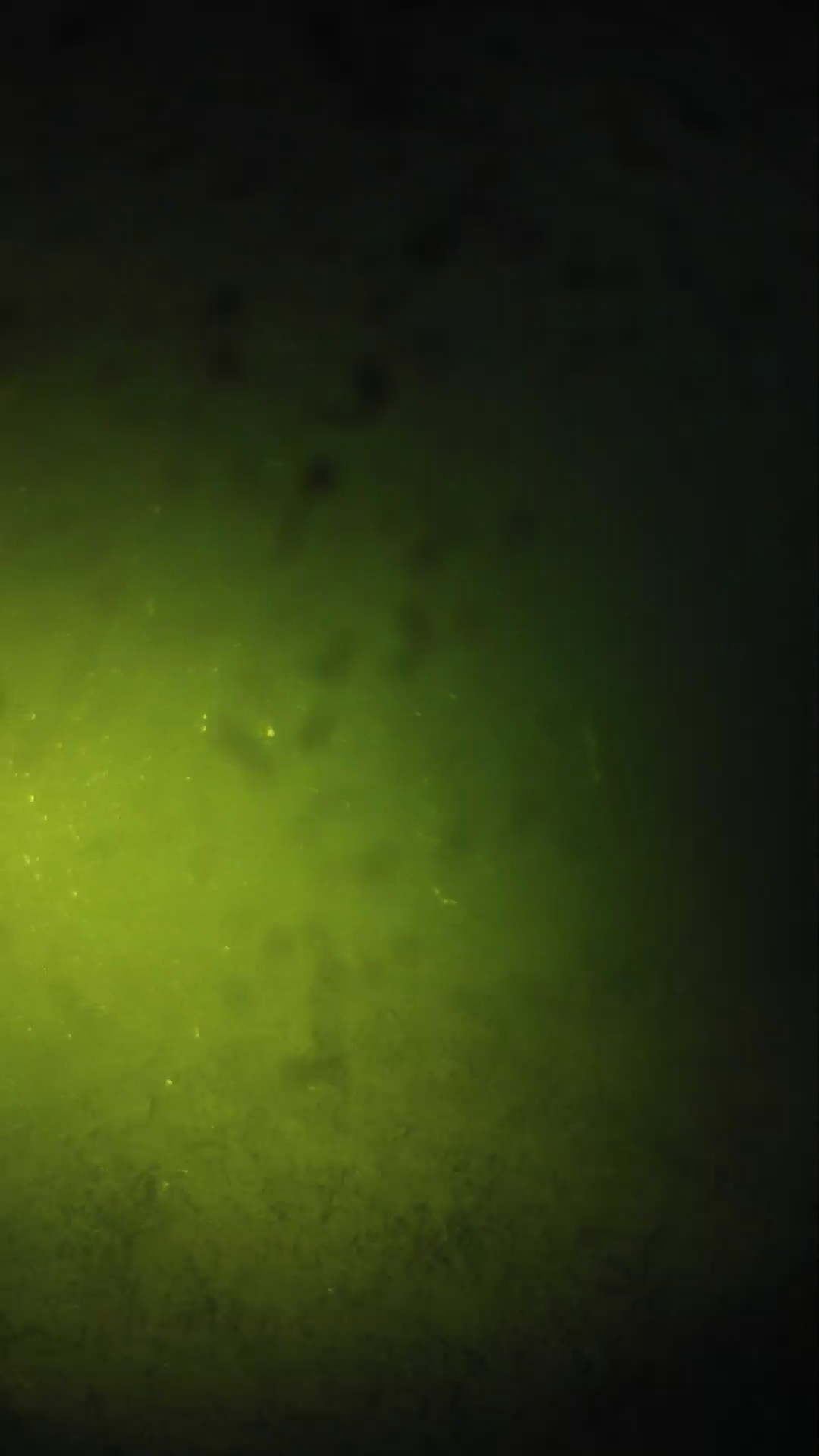 lander_ipcam_20240627203556.png