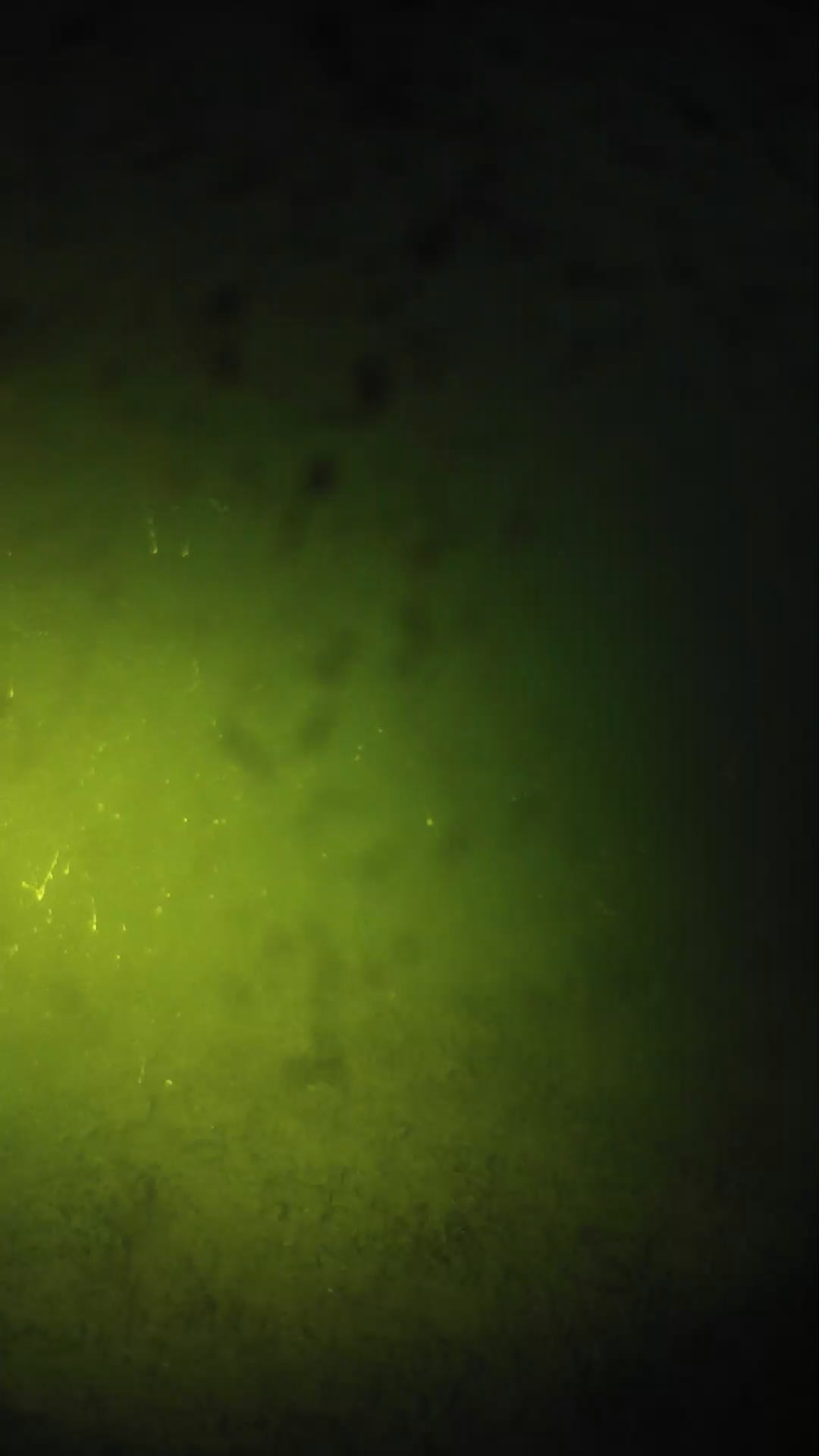 lander_ipcam_20240627203604.png