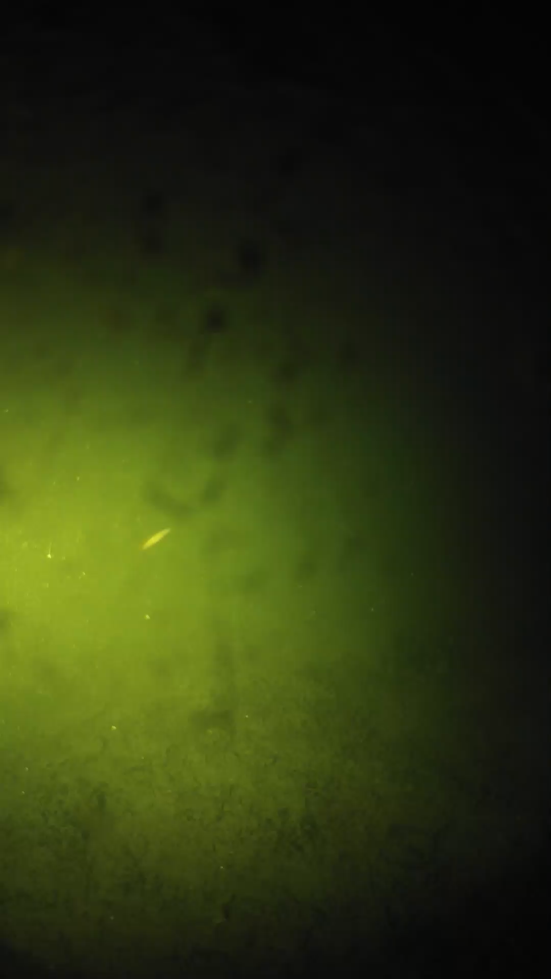 lander_ipcam_20240627210541.png