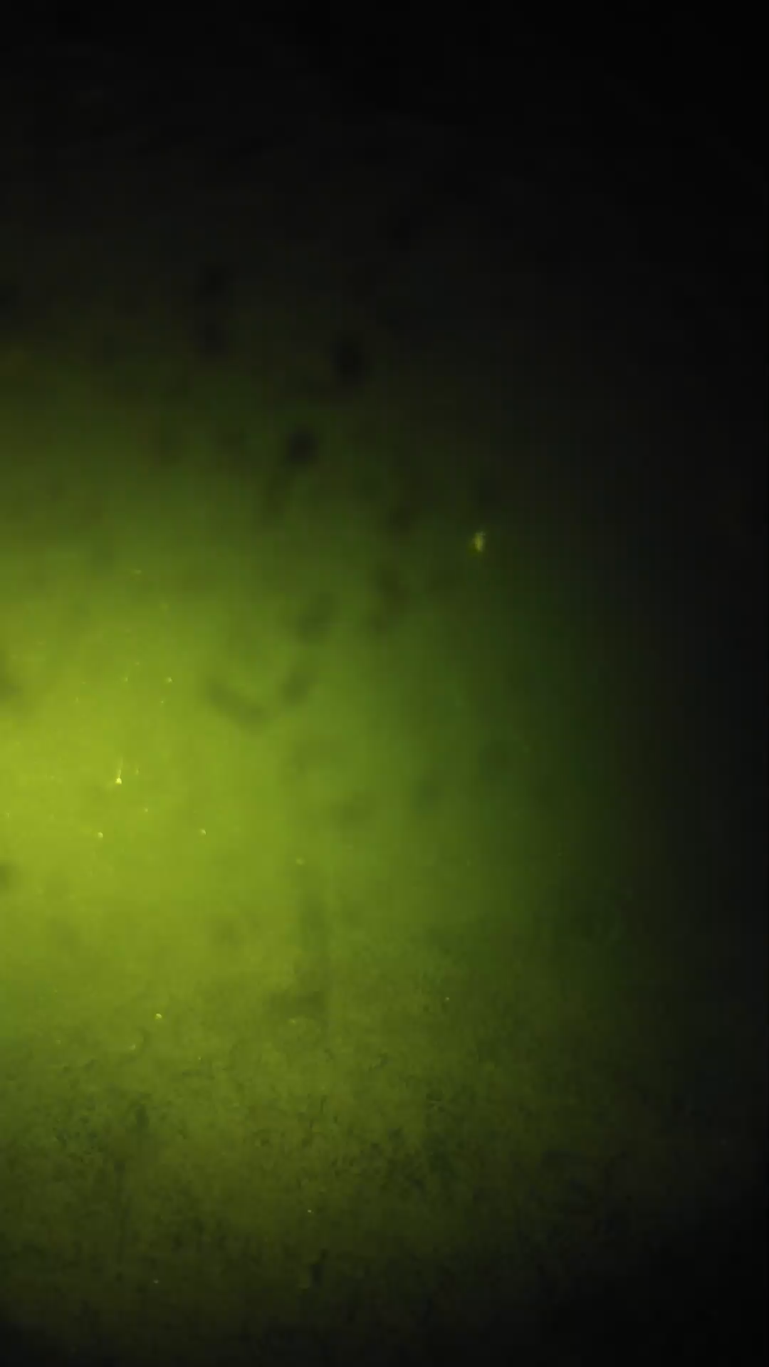 lander_ipcam_20240627210542.png