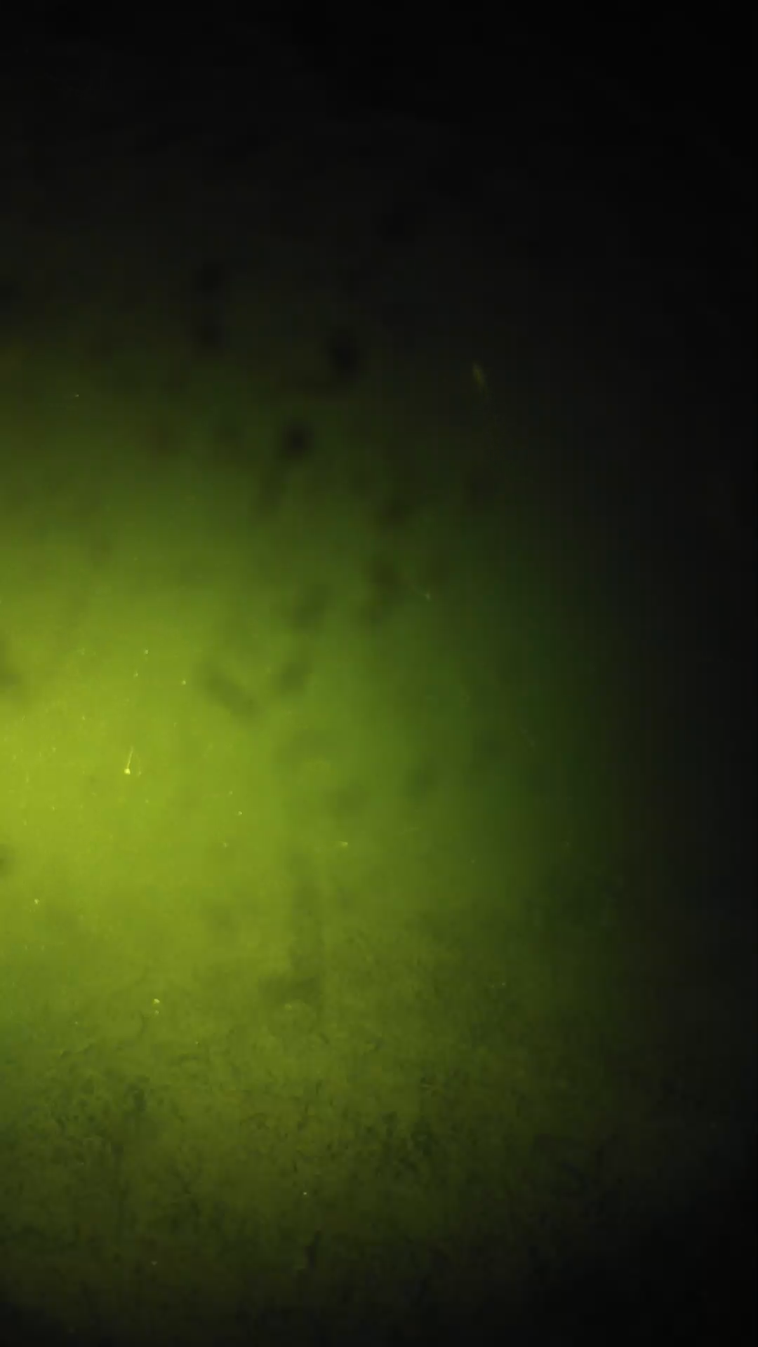 lander_ipcam_20240627210543.png