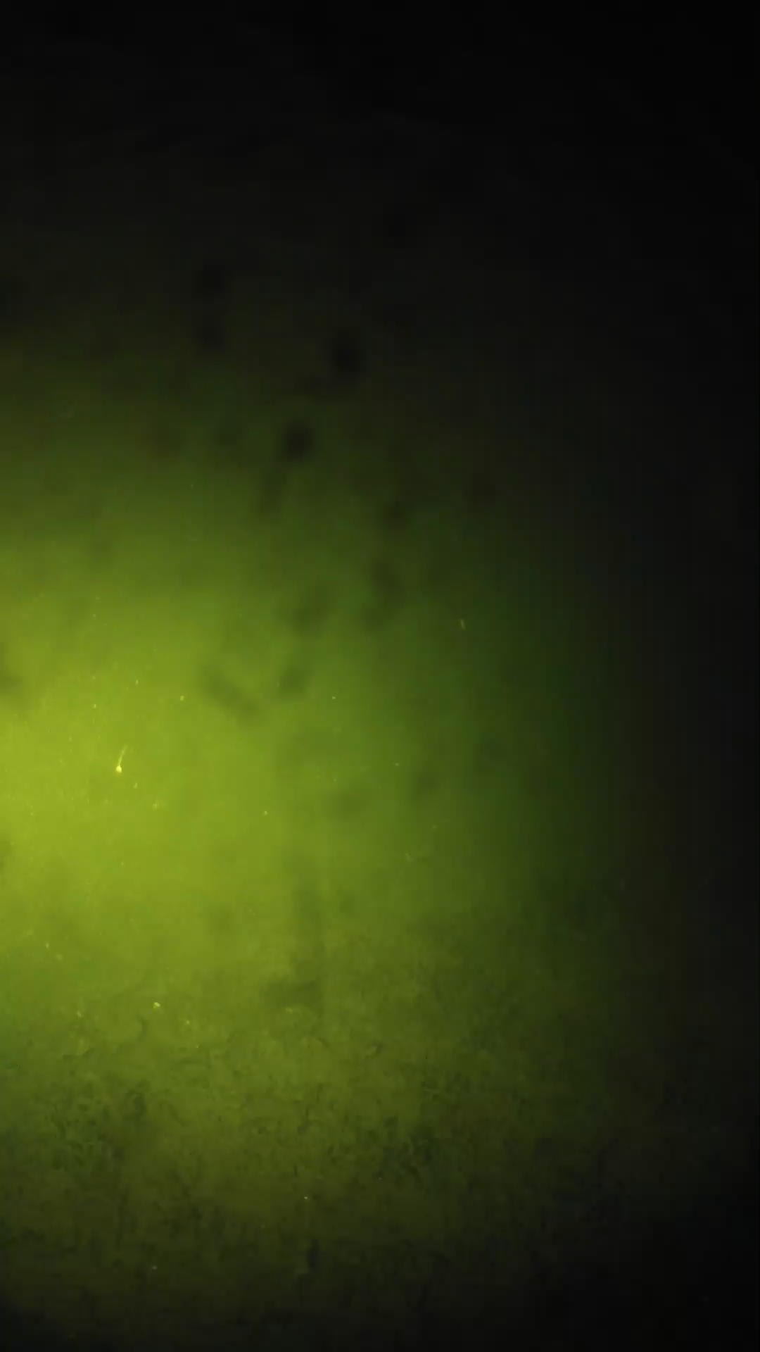 lander_ipcam_20240627210546.png