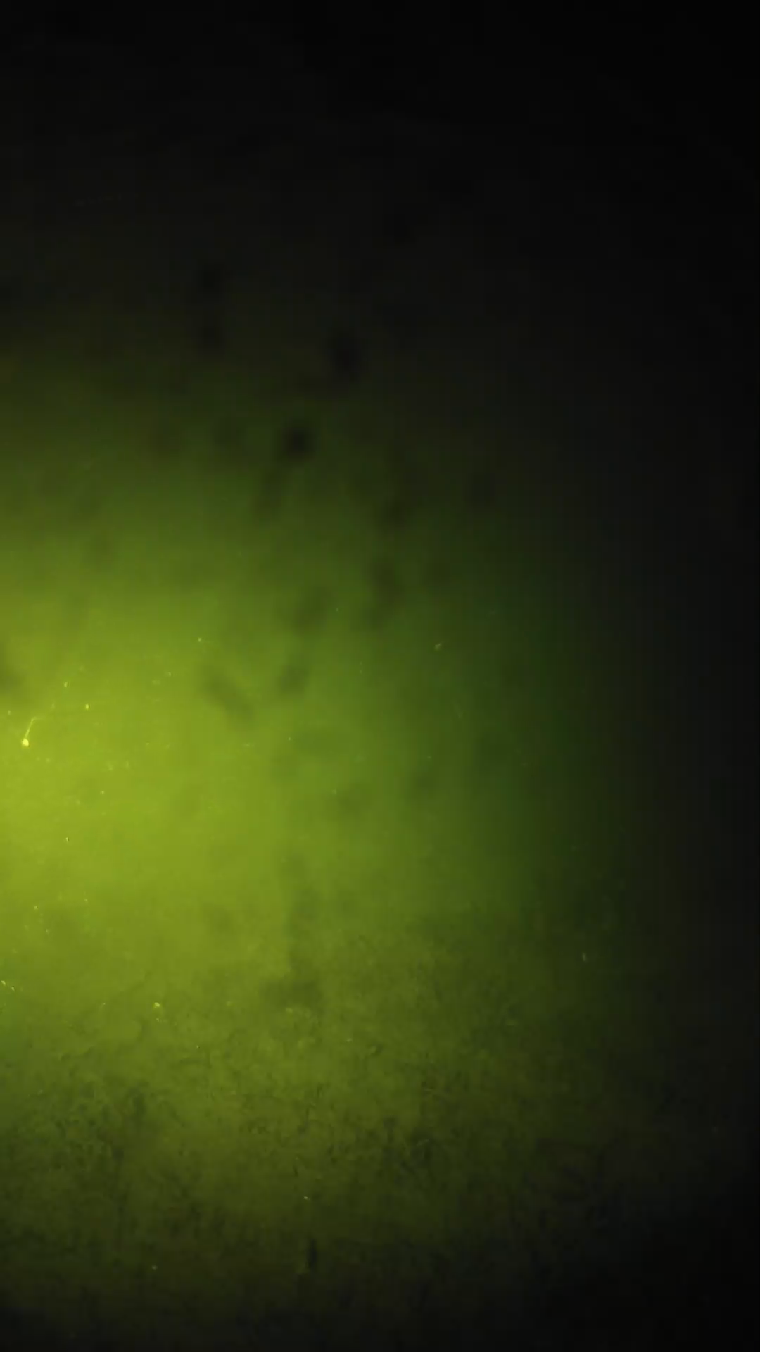 lander_ipcam_20240627210551.png