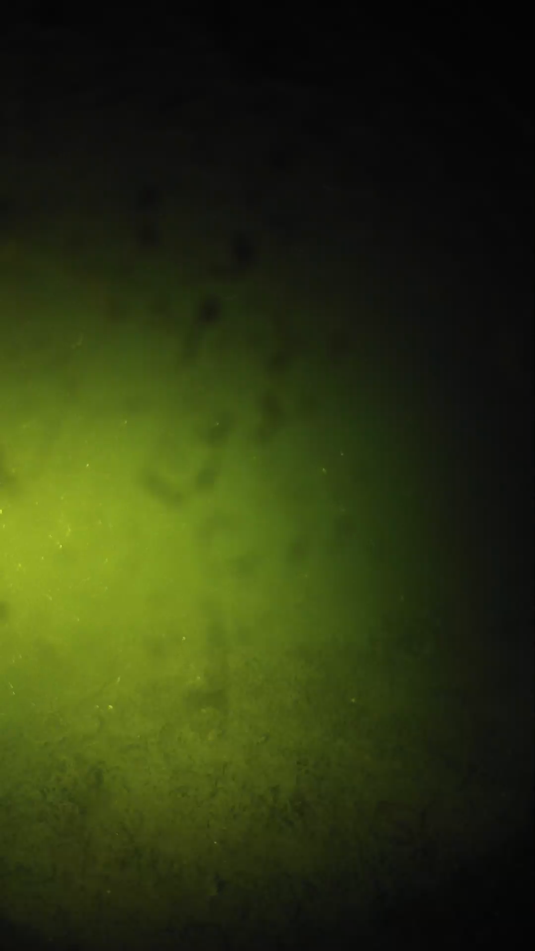 lander_ipcam_20240627210554.png