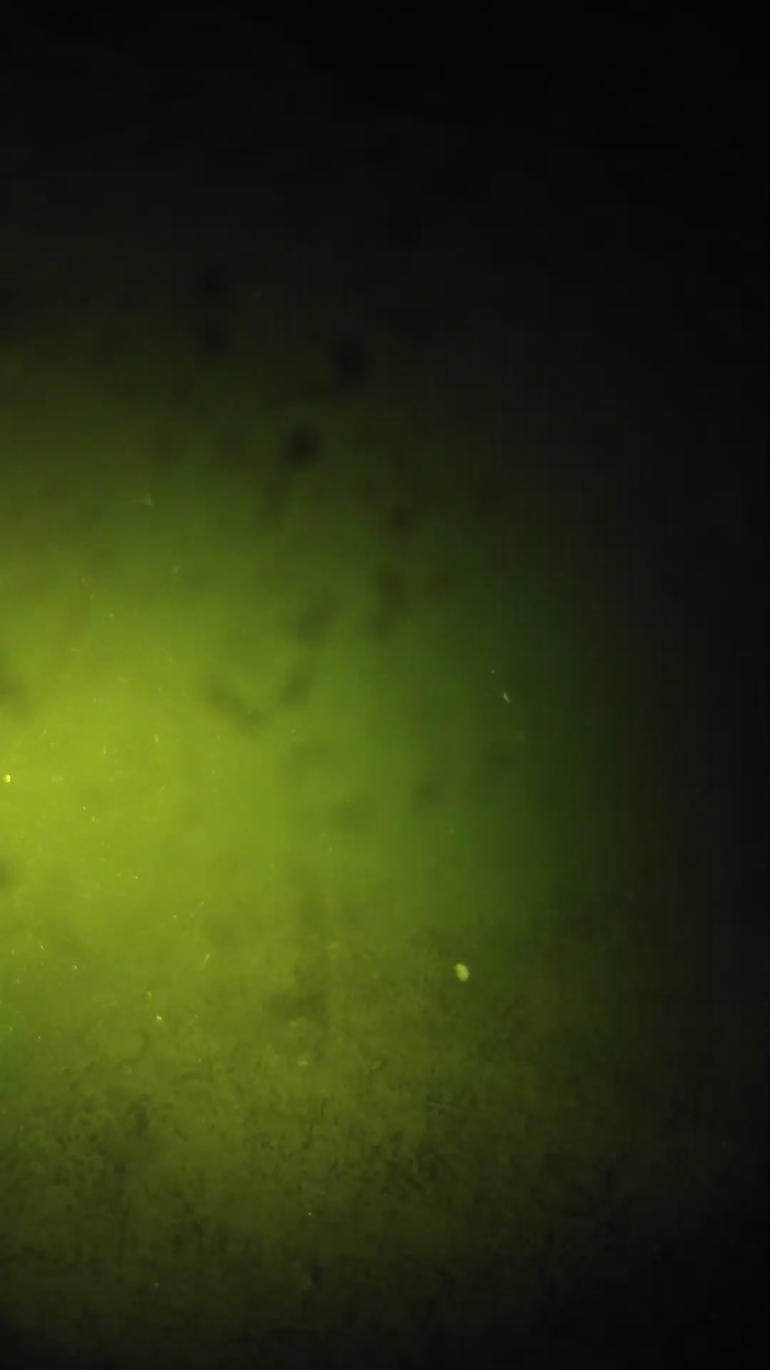 lander_ipcam_20240627210556.png