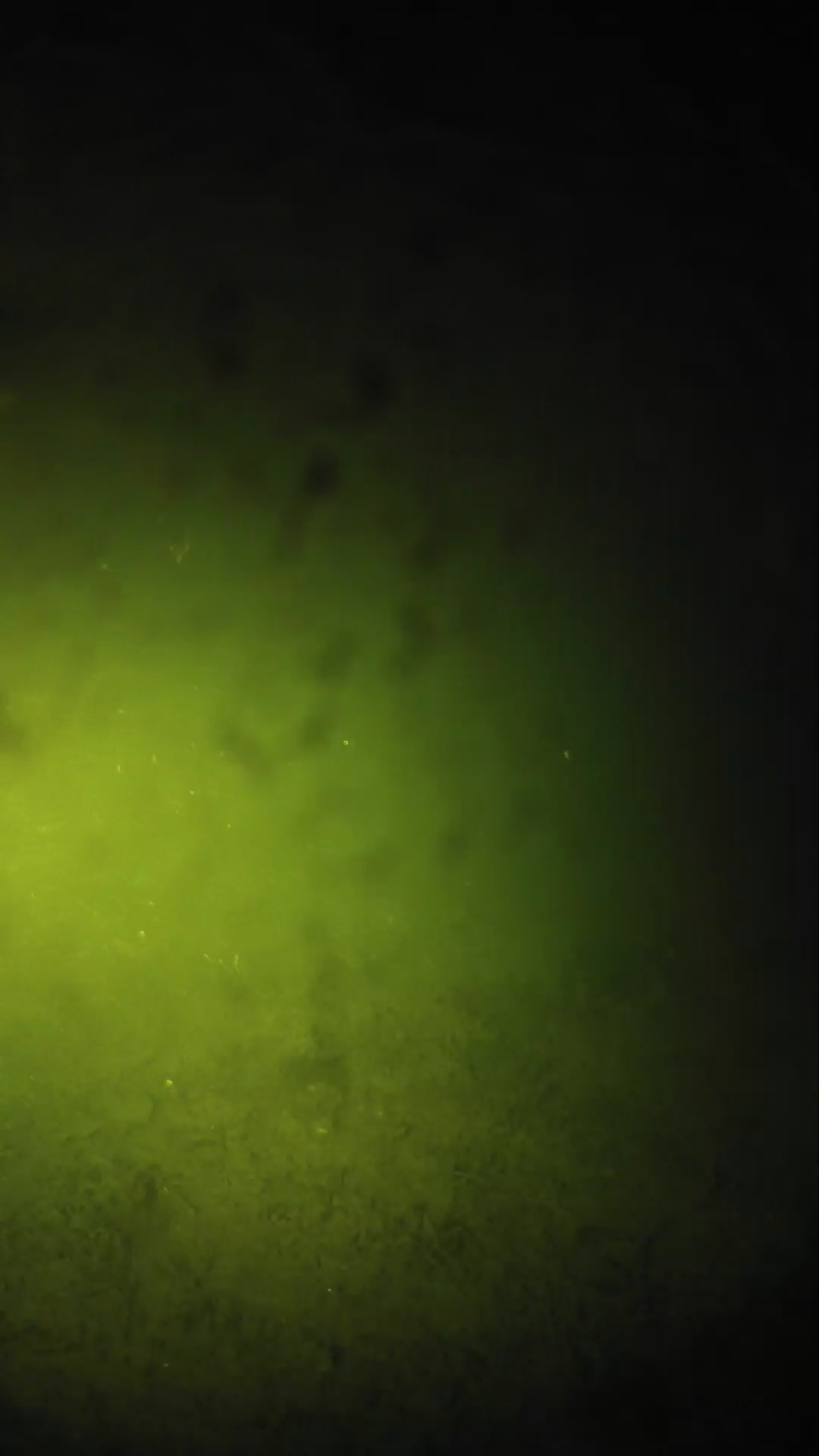 lander_ipcam_20240627210600.png