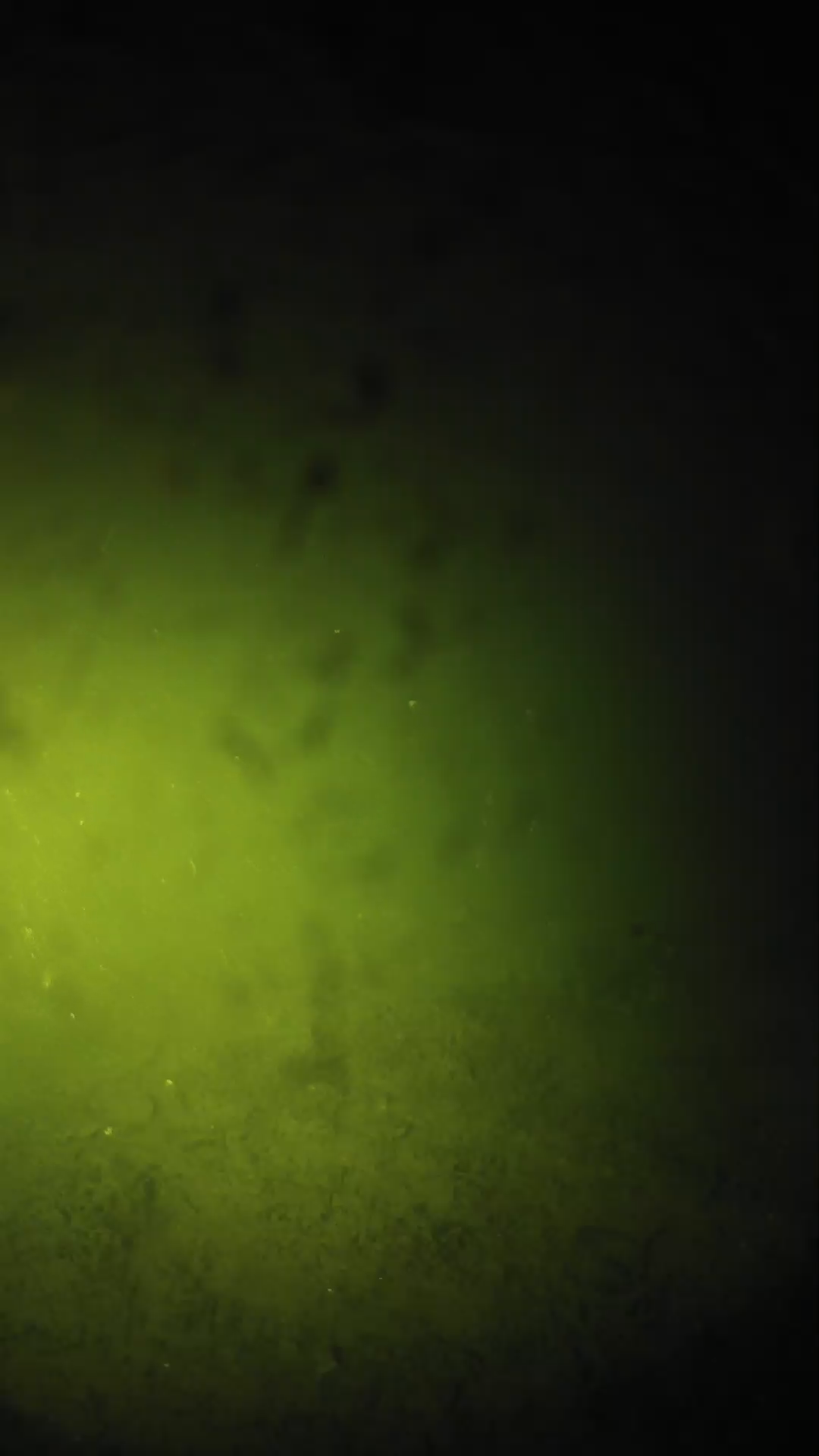 lander_ipcam_20240627210608.png