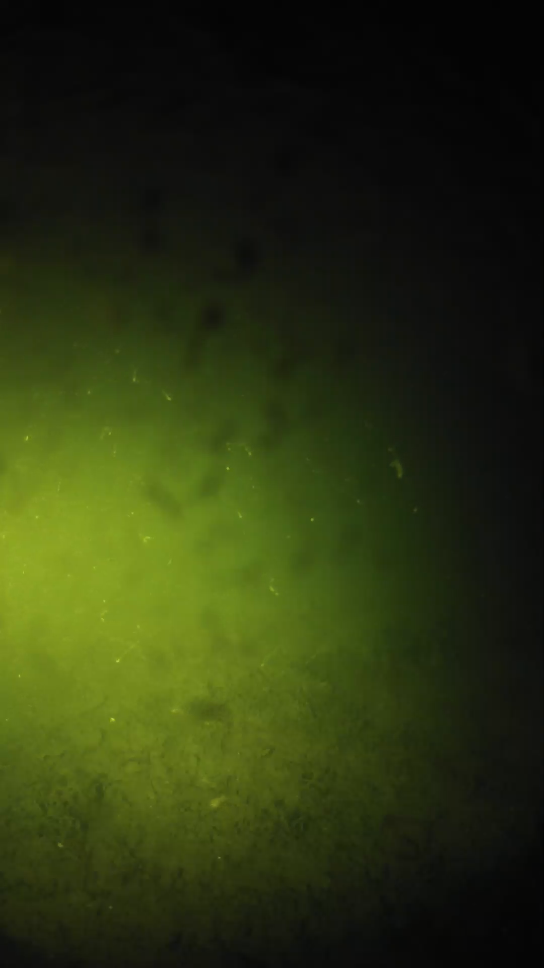lander_ipcam_20240627213540.png