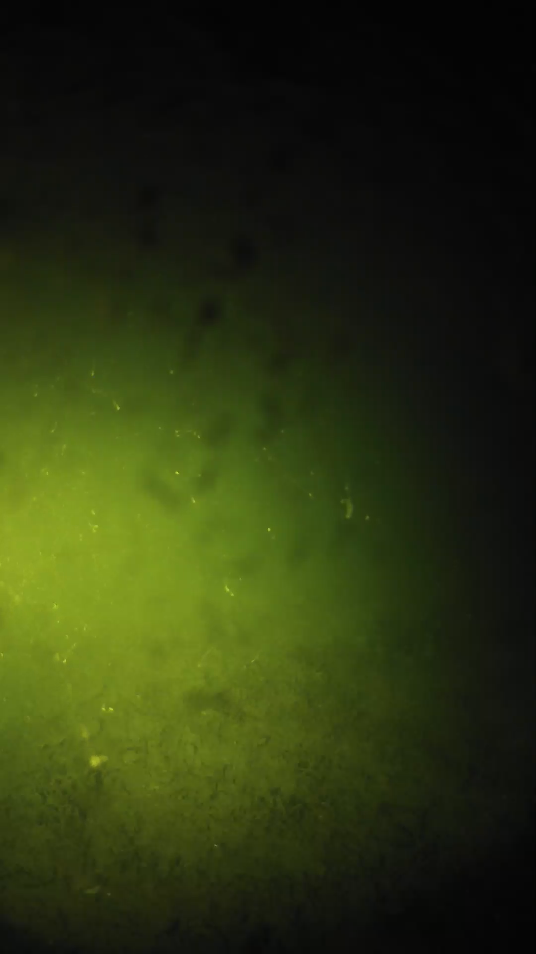 lander_ipcam_20240627213544.png