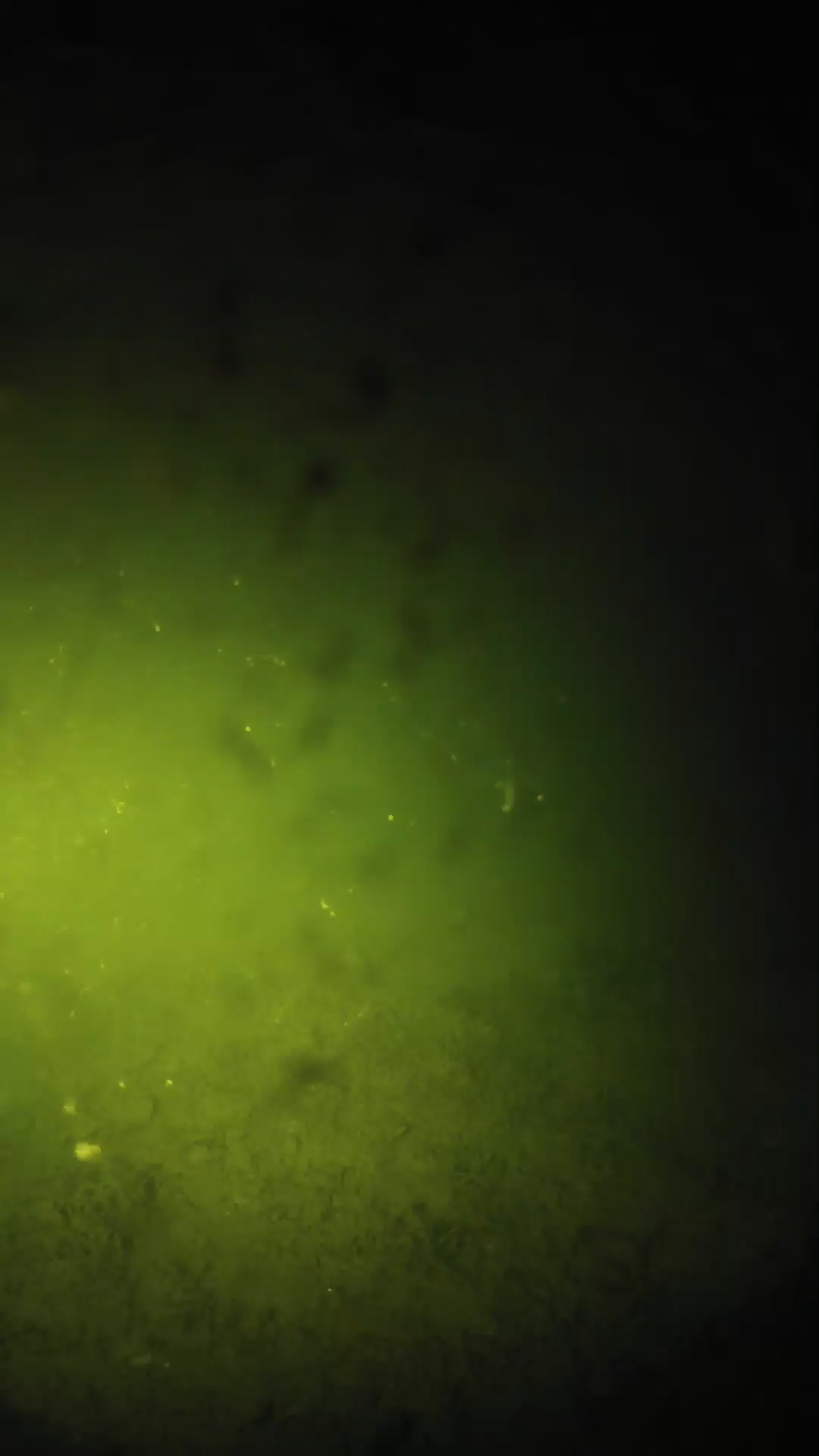 lander_ipcam_20240627213545.png