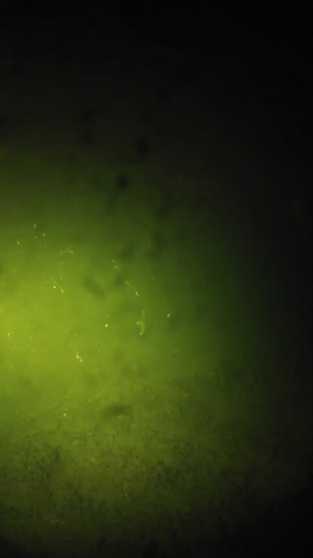 lander_ipcam_20240627213549.png
