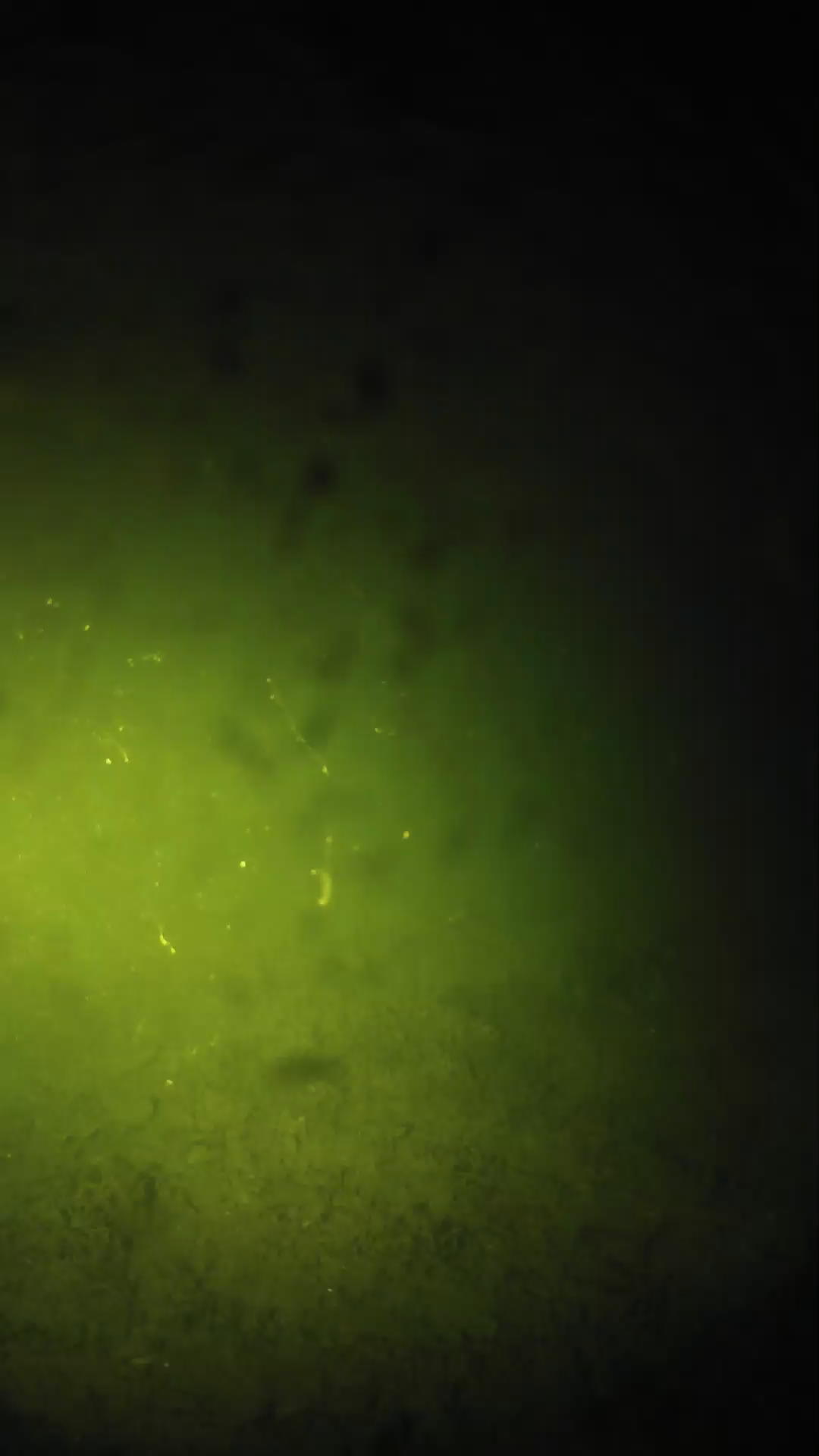 lander_ipcam_20240627213550.png