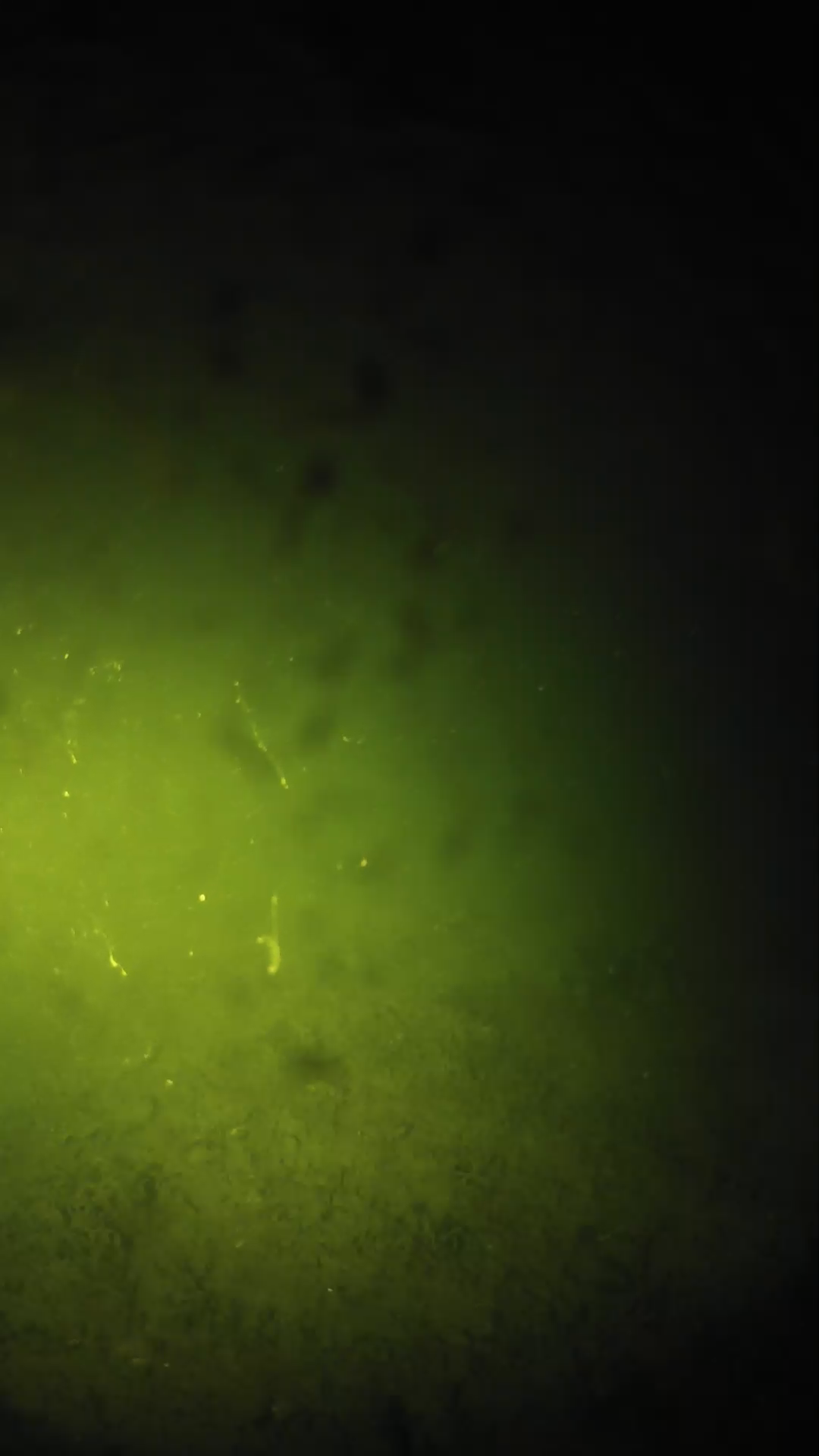 lander_ipcam_20240627213554.png