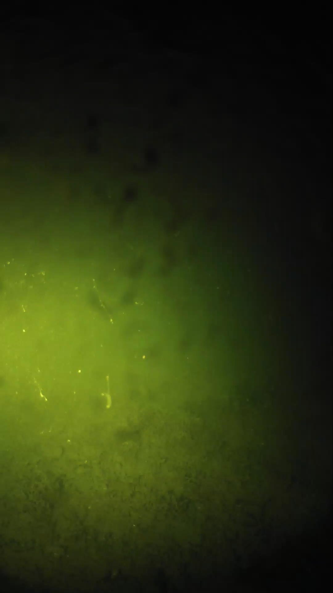 lander_ipcam_20240627213556.png