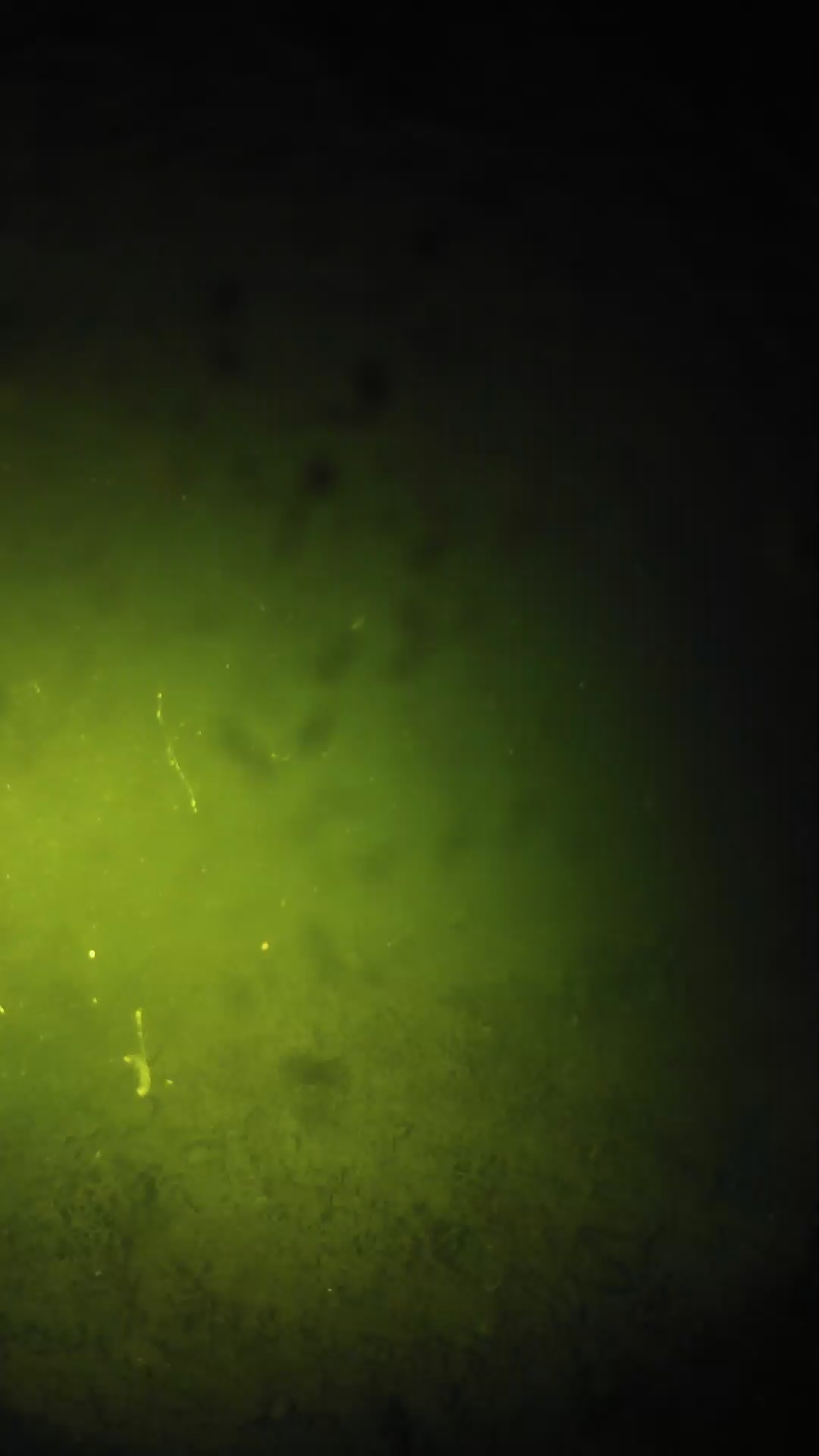 lander_ipcam_20240627213600.png