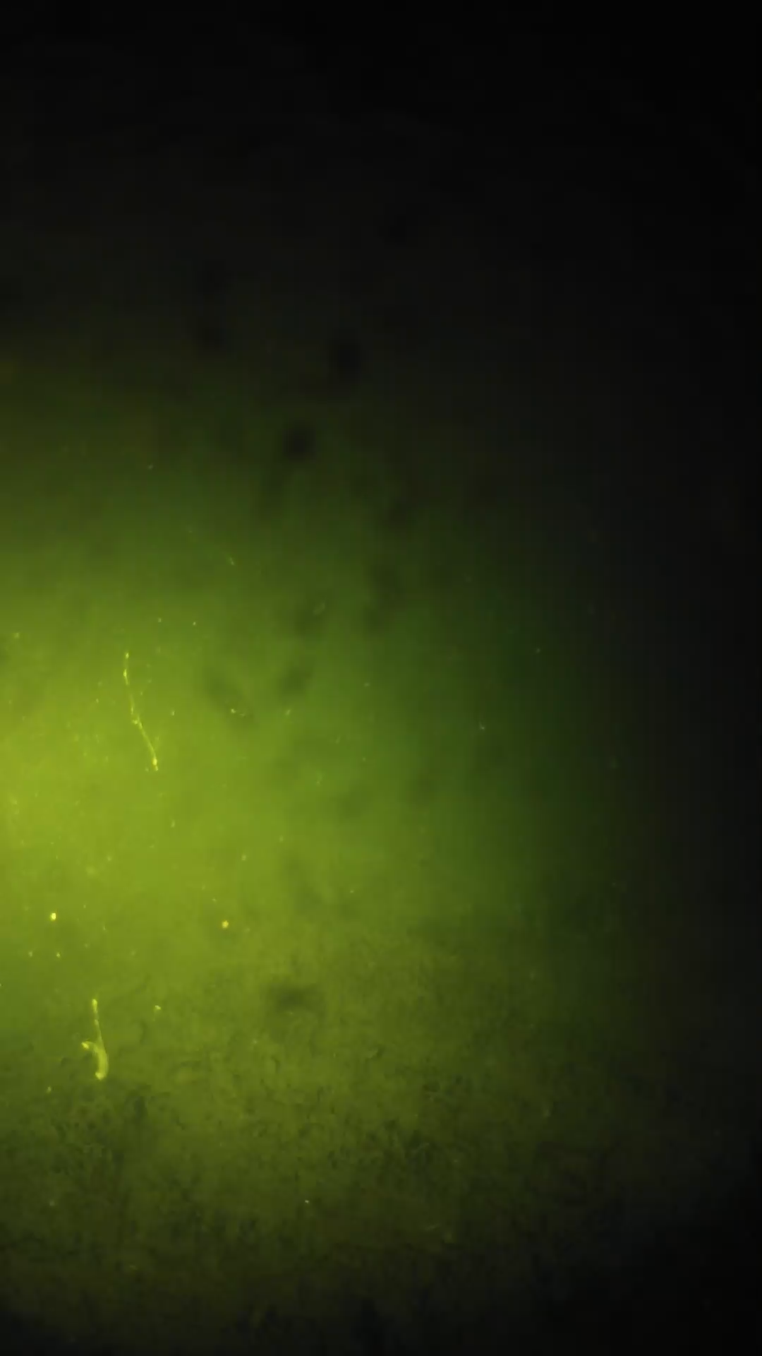 lander_ipcam_20240627213602.png