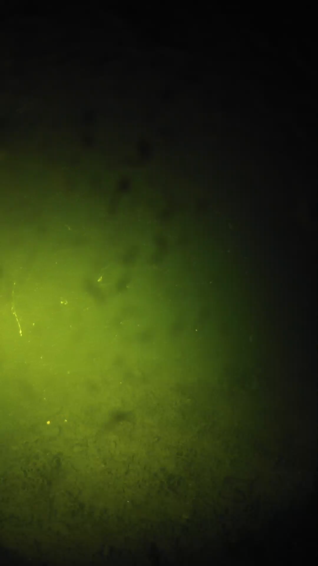lander_ipcam_20240627213606.png