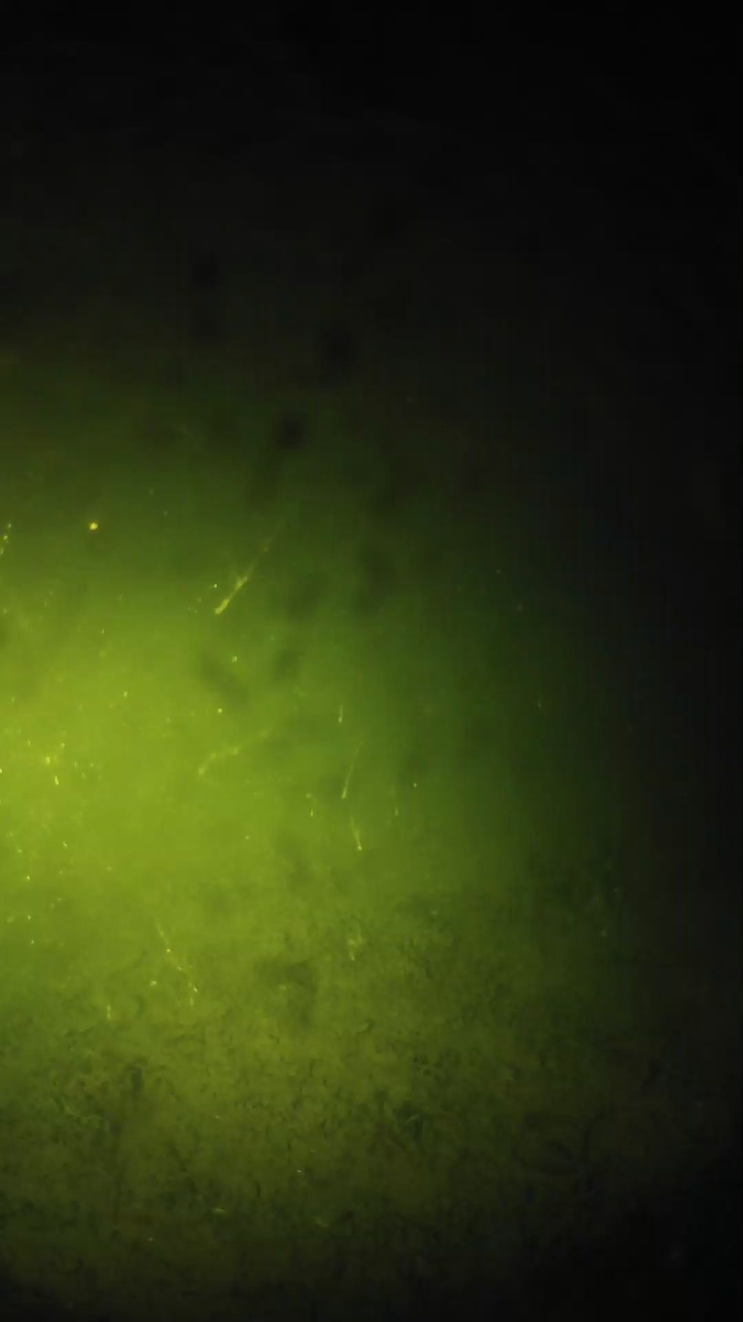 lander_ipcam_20240627220539.png