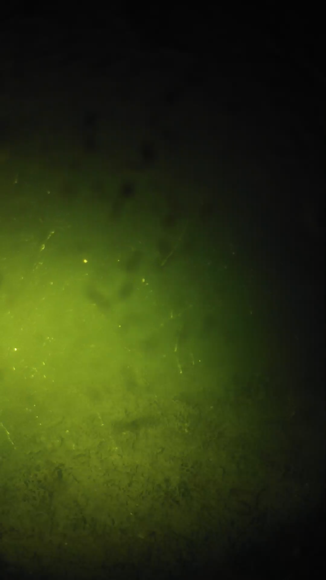 lander_ipcam_20240627220541.png