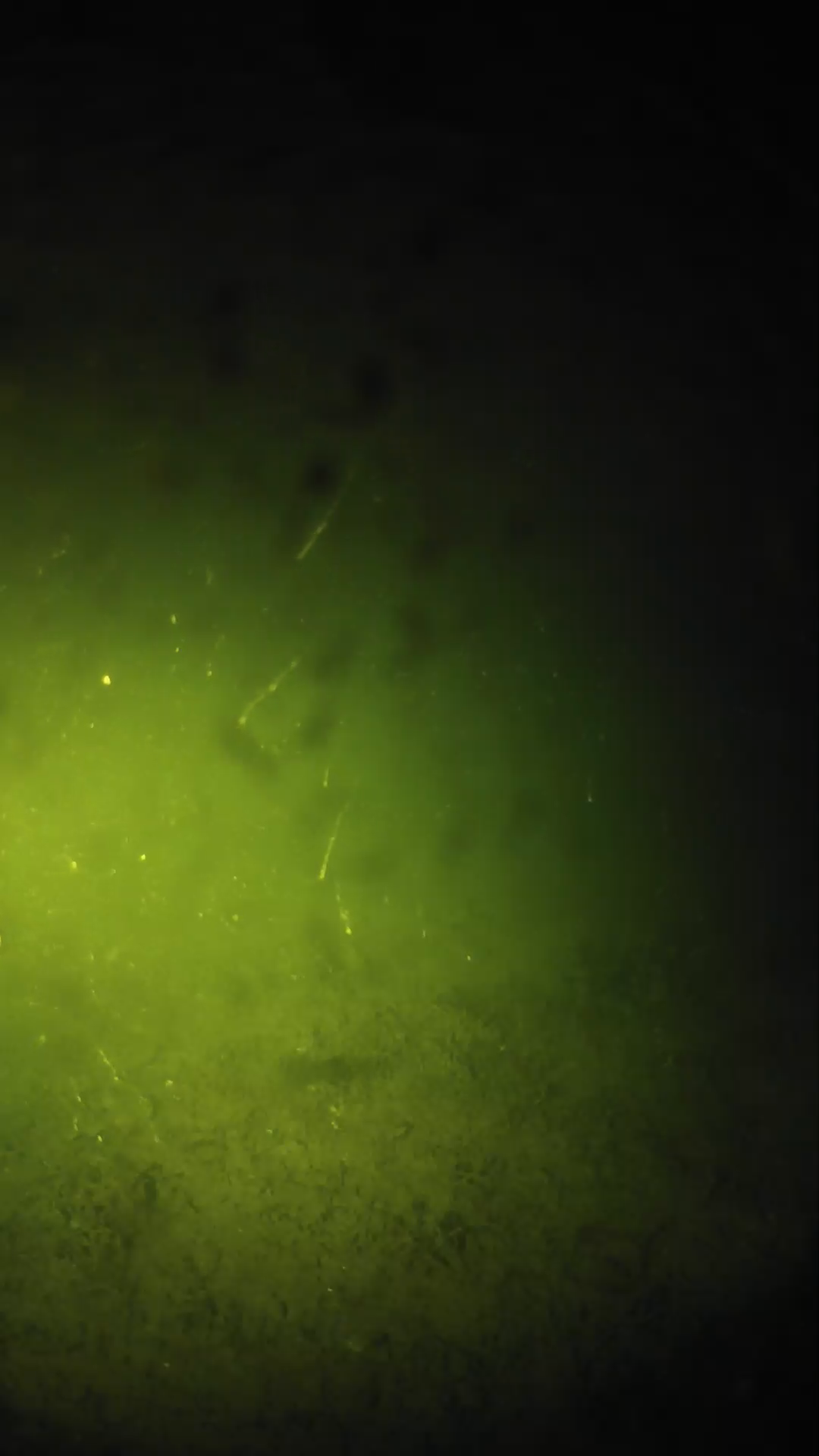 lander_ipcam_20240627220548.png