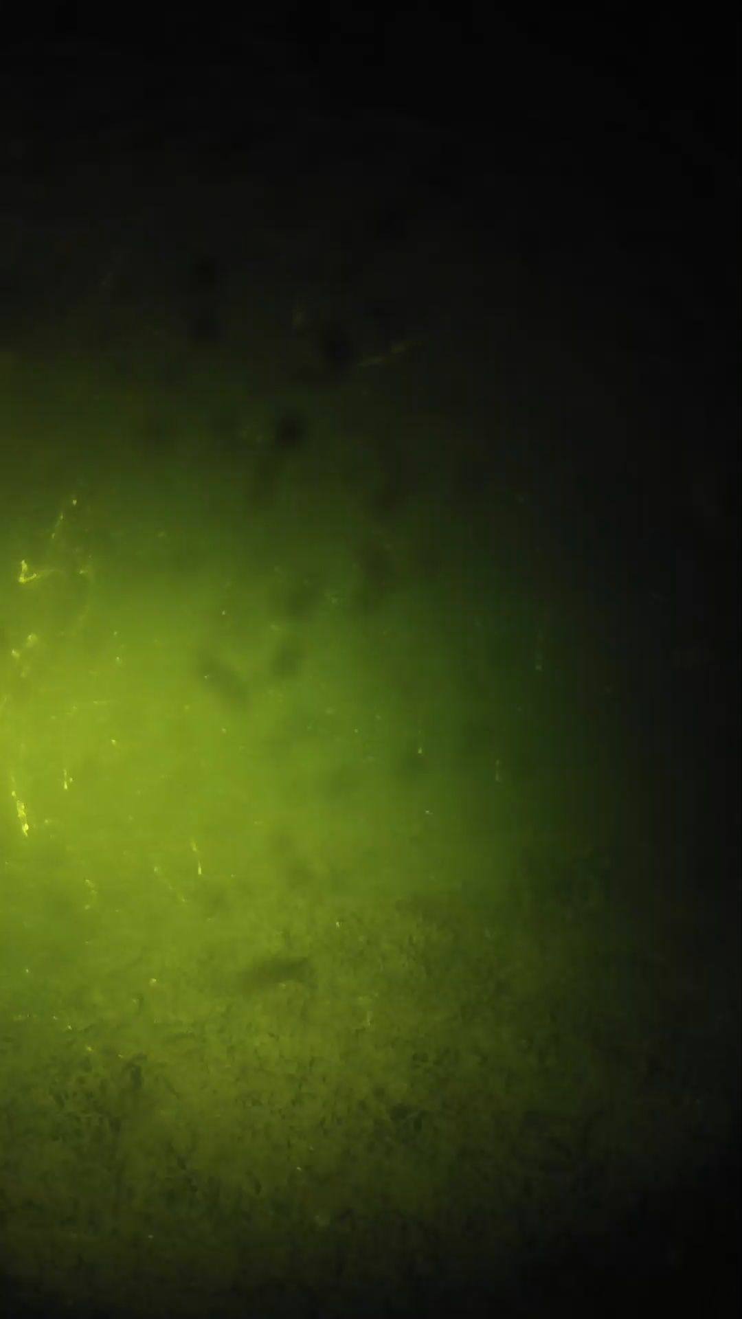 lander_ipcam_20240627220559.png