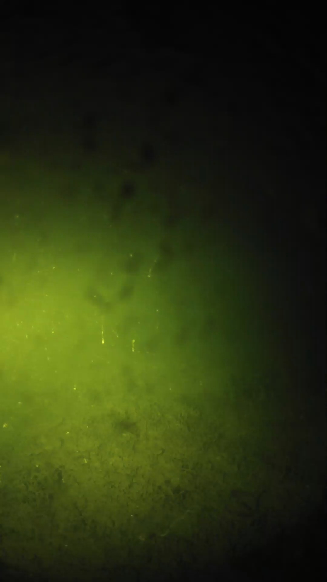 lander_ipcam_20240627220607.png