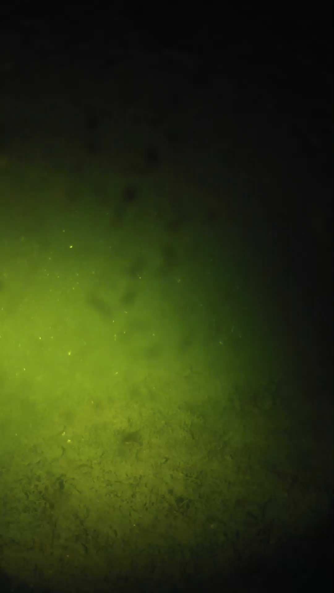 lander_ipcam_20240627223539.png